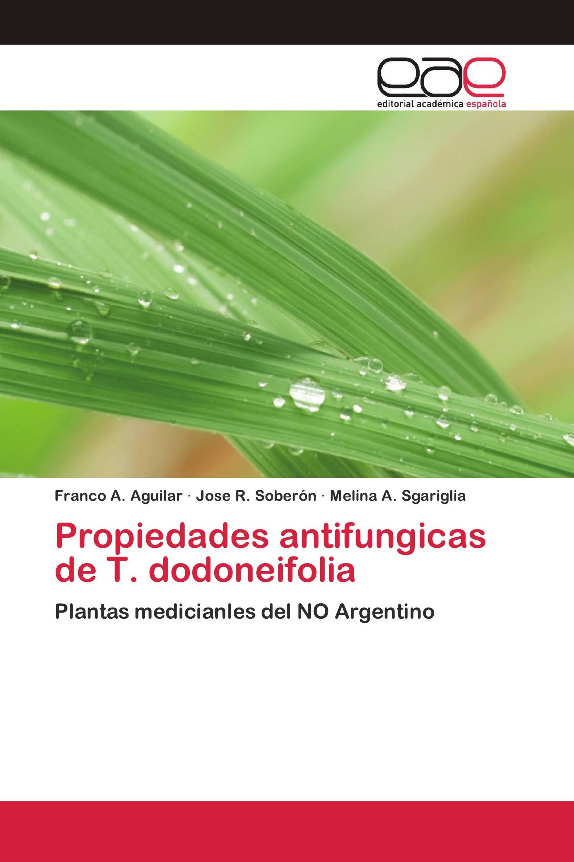 Propiedades antifungicas de T. dodoneifolia