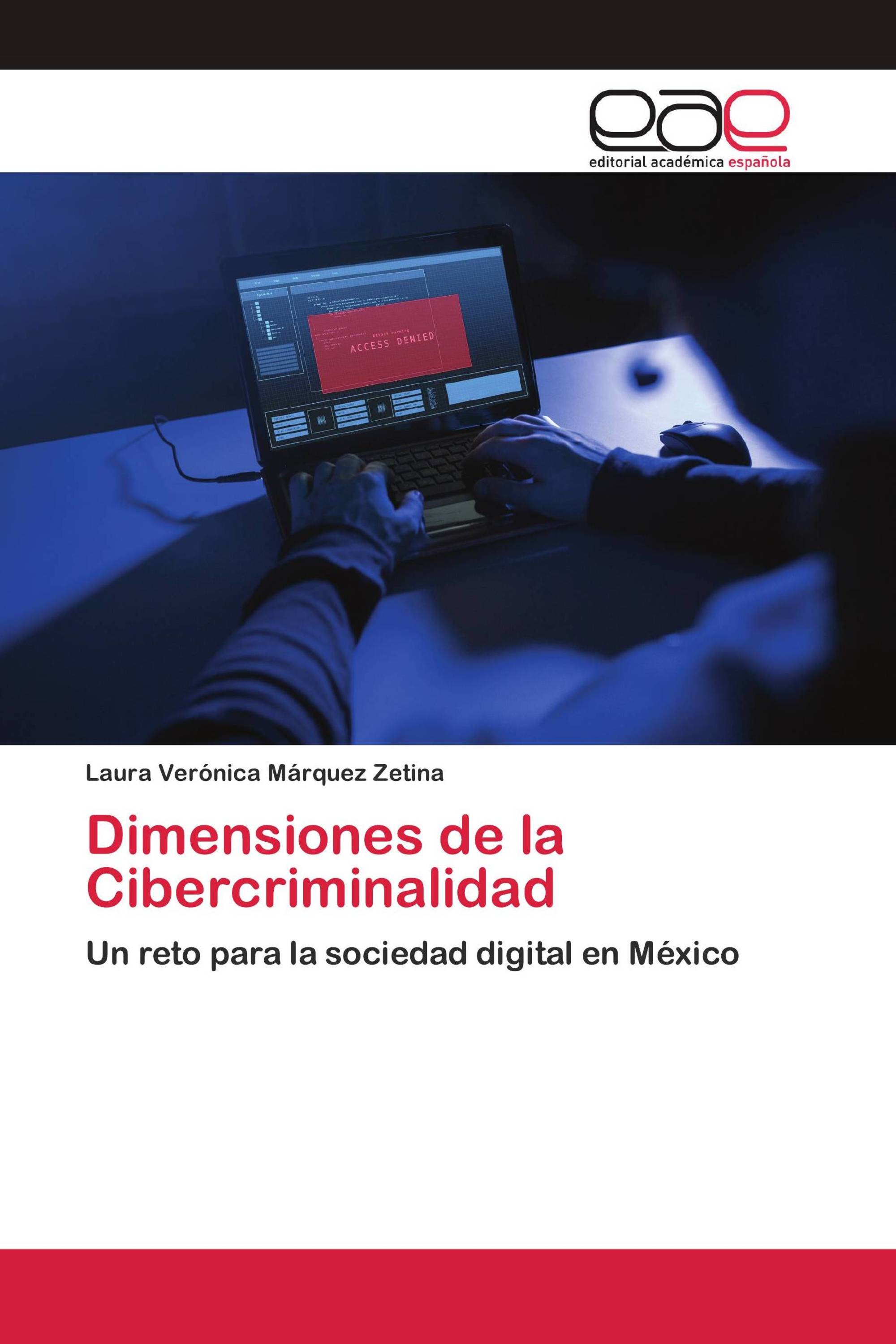 Dimensiones de la Cibercriminalidad