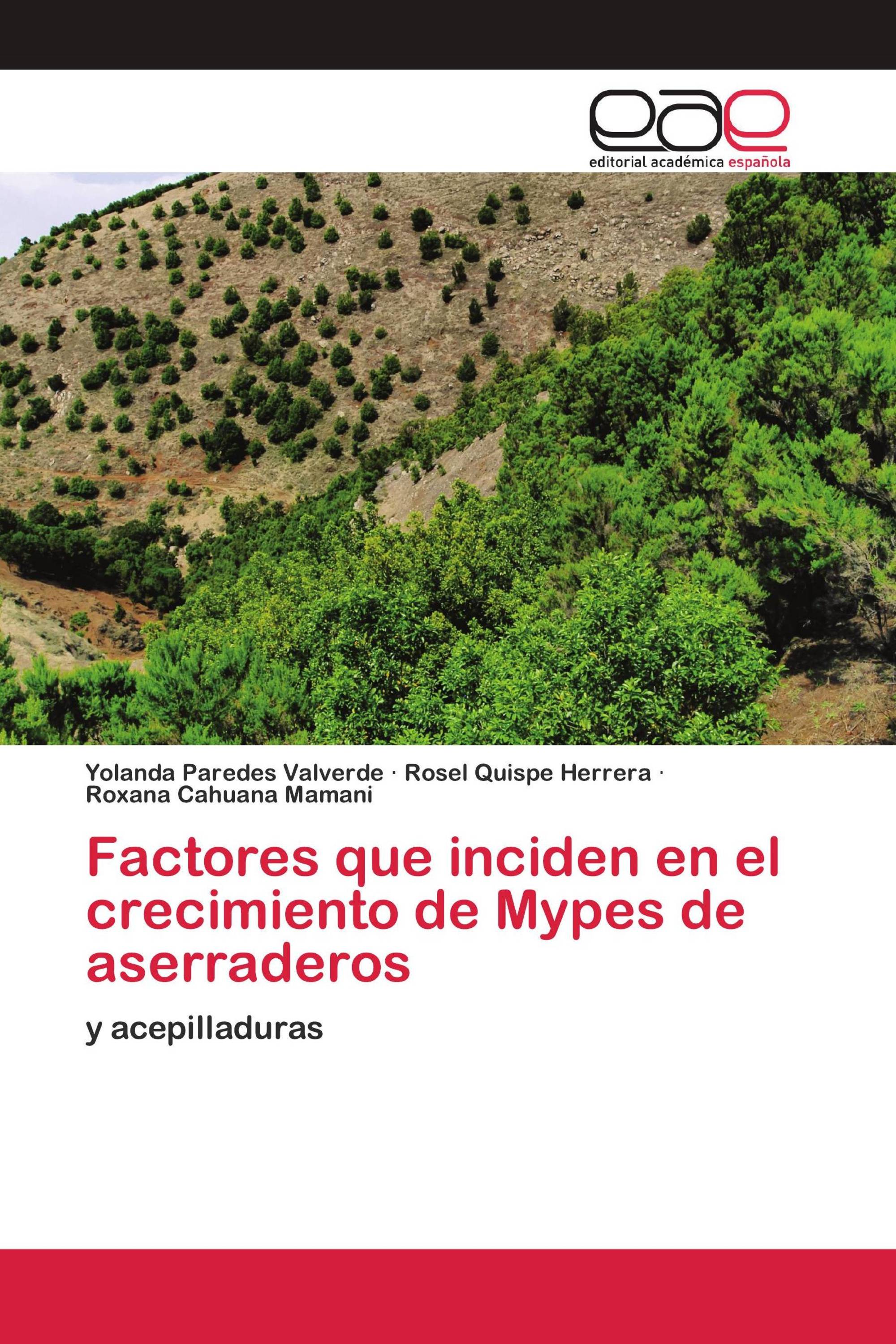 Factores que inciden en el crecimiento de Mypes de aserraderos