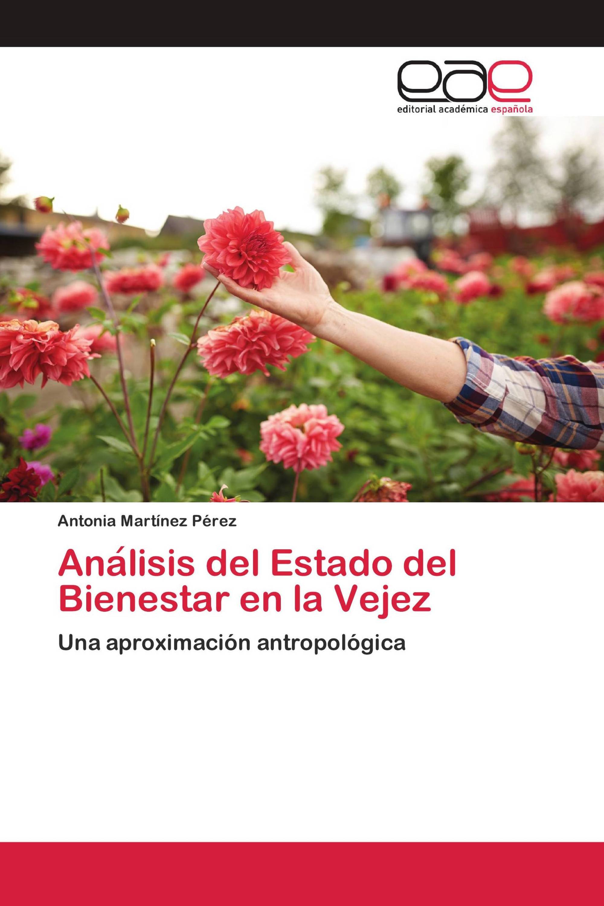 Análisis del Estado del Bienestar en la Vejez