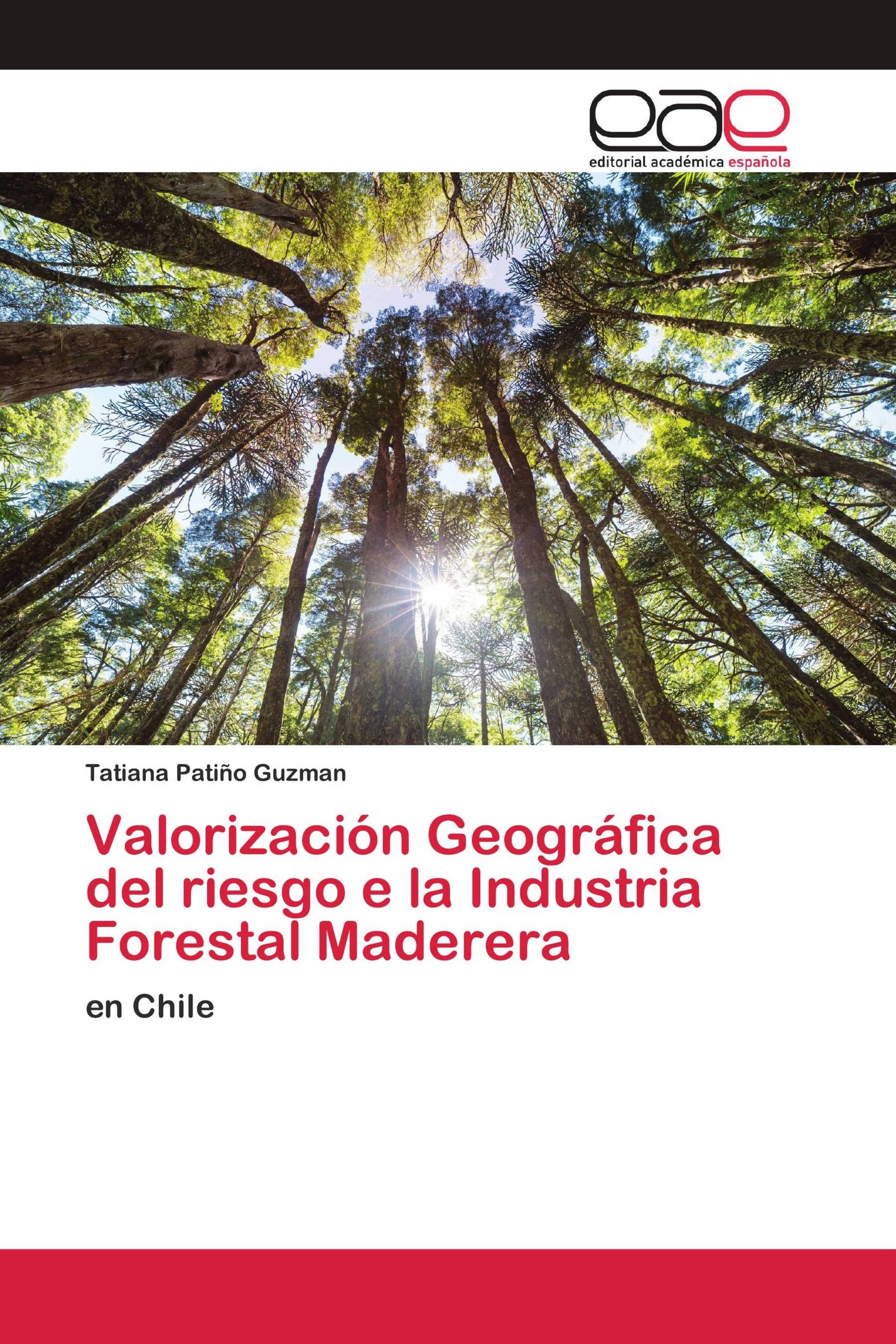 Valorización Geográfica del riesgo e la Industria Forestal Maderera