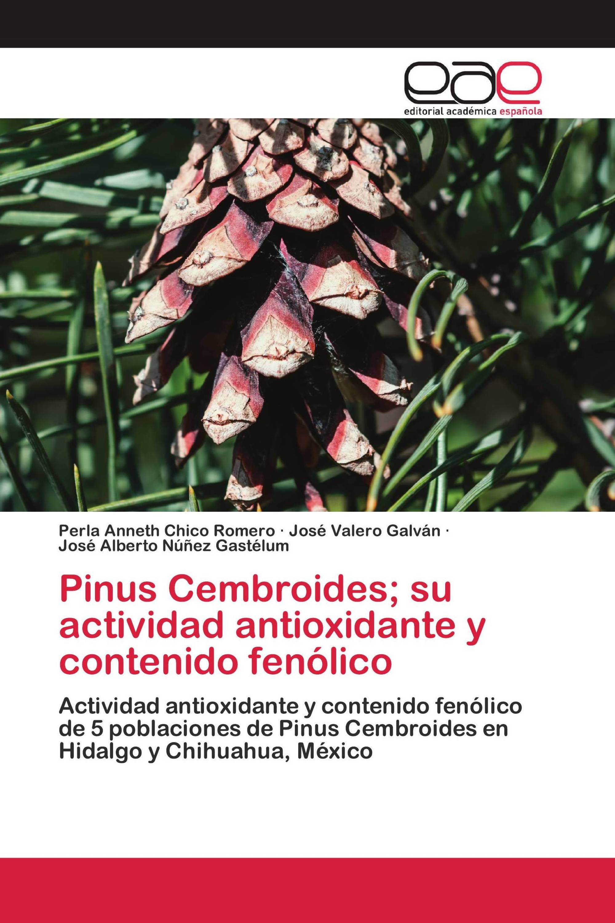 Pinus Cembroides; su actividad antioxidante y contenido fenólico