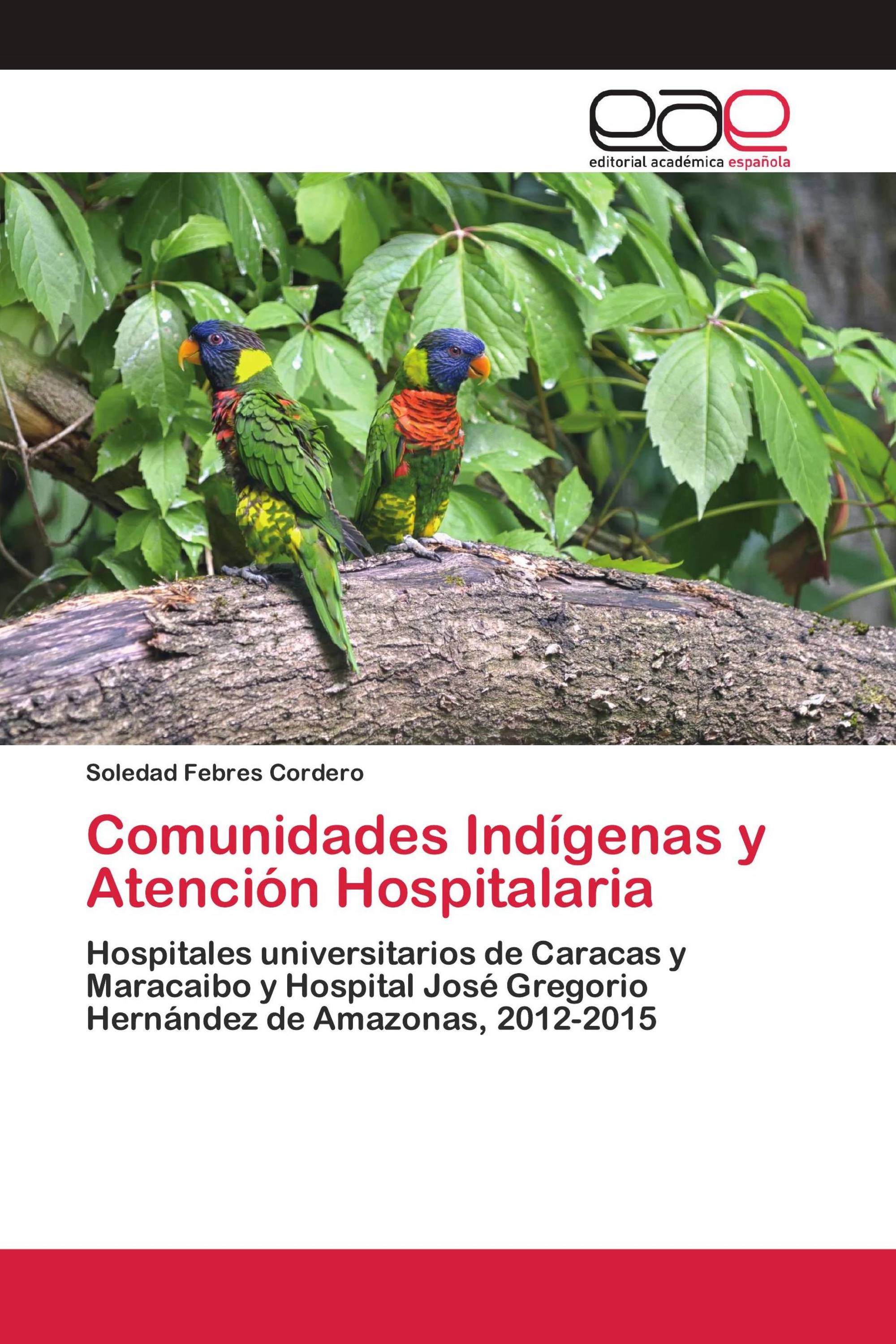 Comunidades Indígenas y Atención Hospitalaria