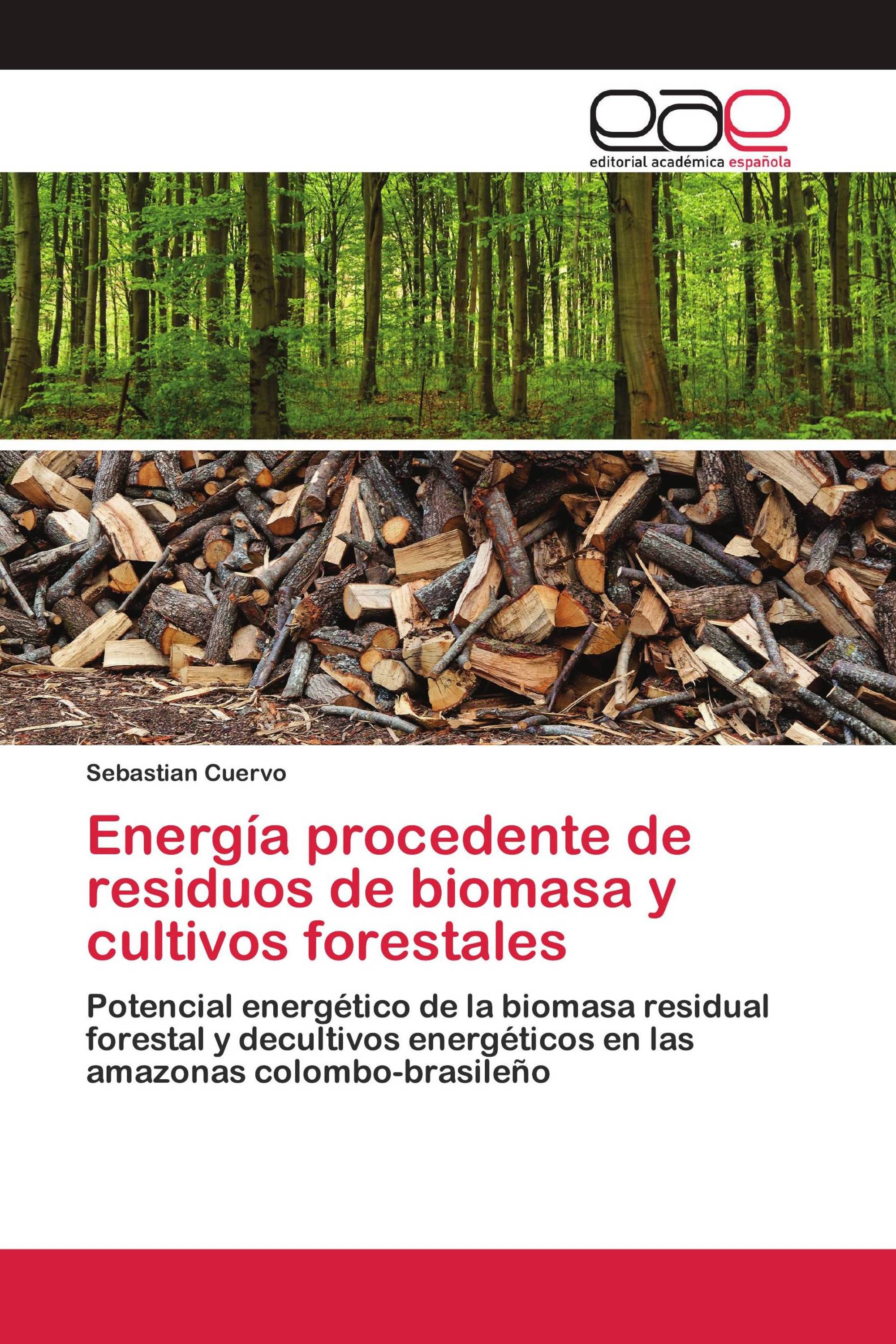 Energía procedente de residuos de biomasa y cultivos forestales