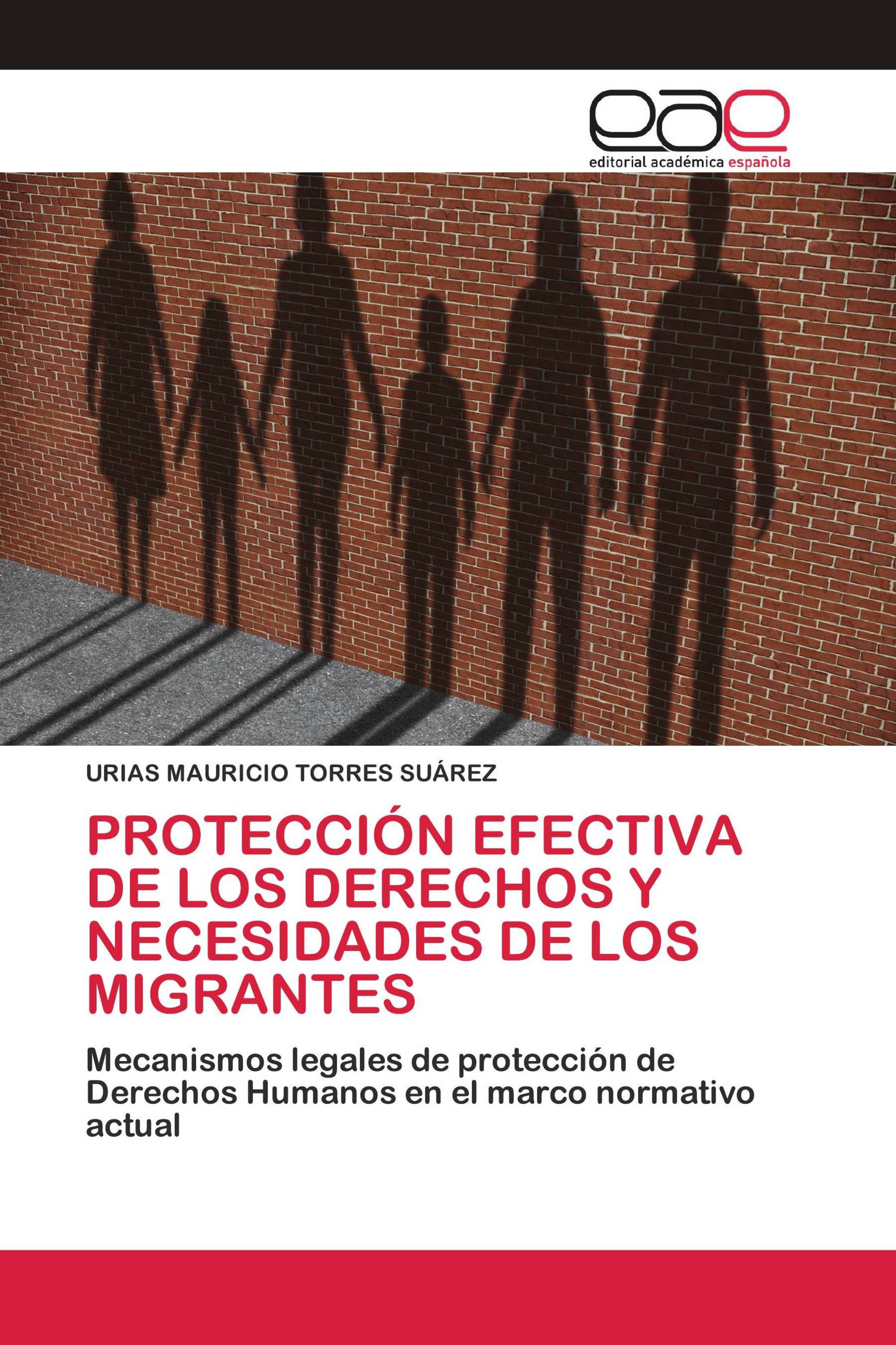 PROTECCIÓN EFECTIVA DE LOS DERECHOS Y NECESIDADES DE LOS MIGRANTES