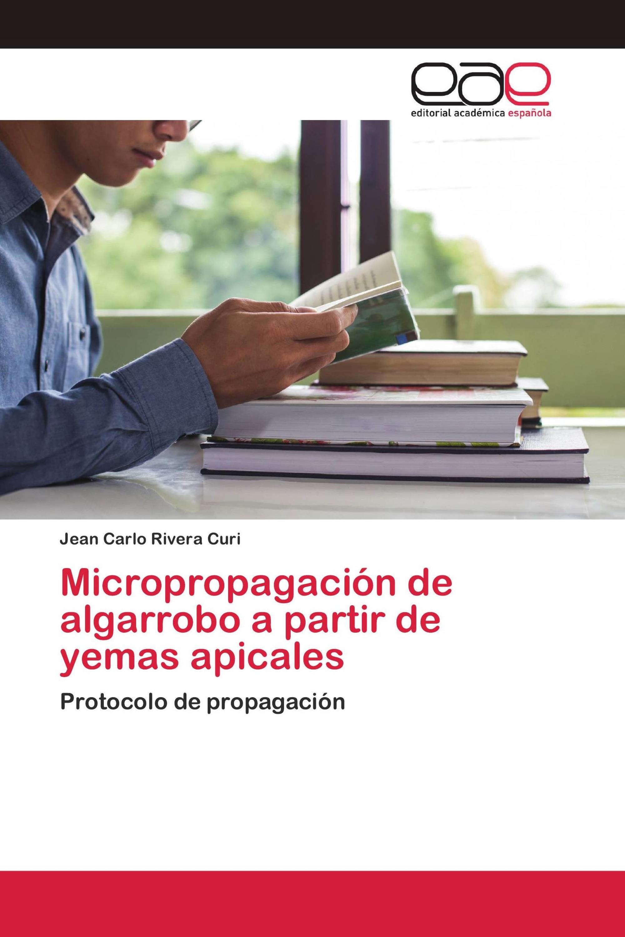 Micropropagación de algarrobo a partir de yemas apicales