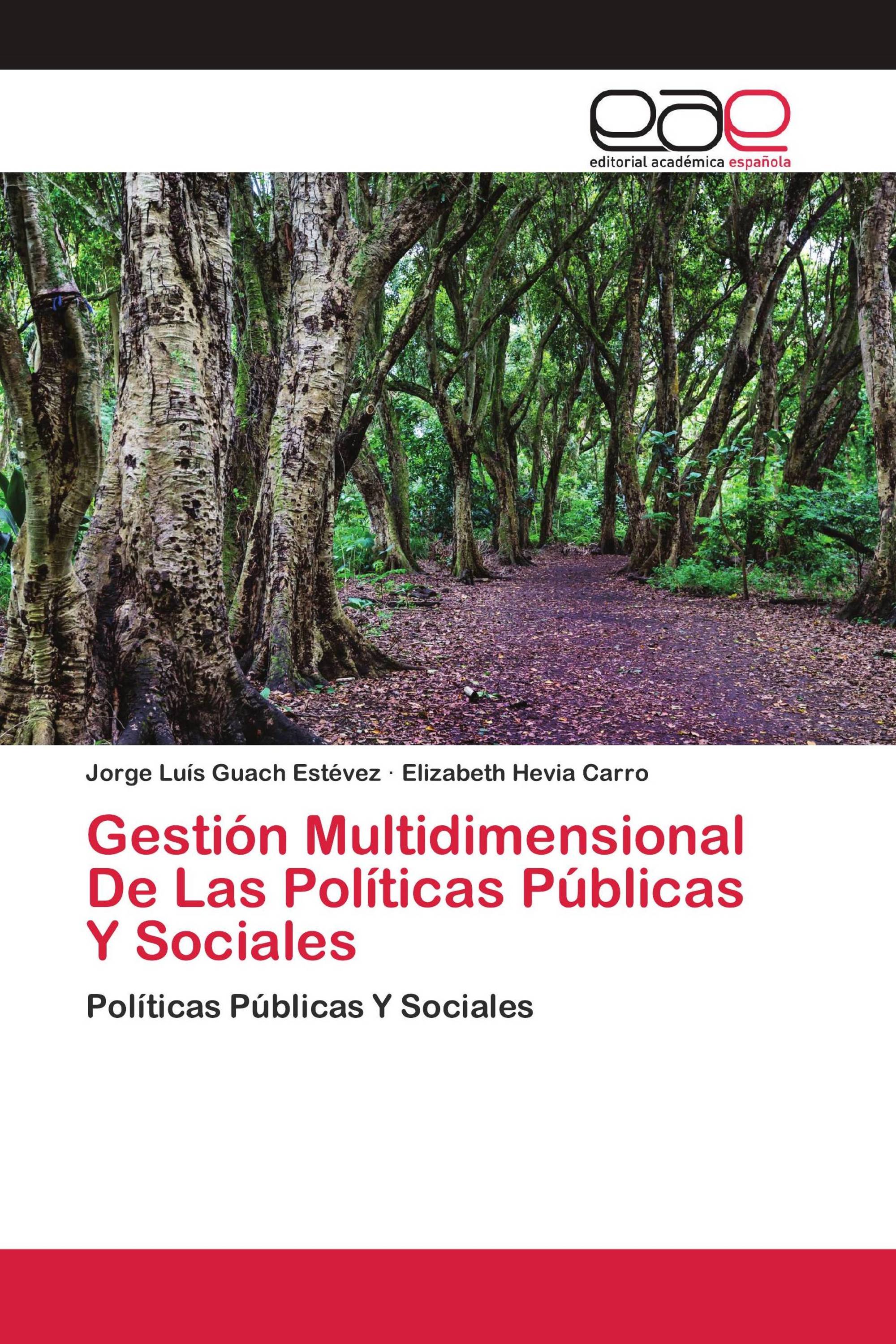 Gestión Multidimensional De Las Políticas Públicas Y Sociales