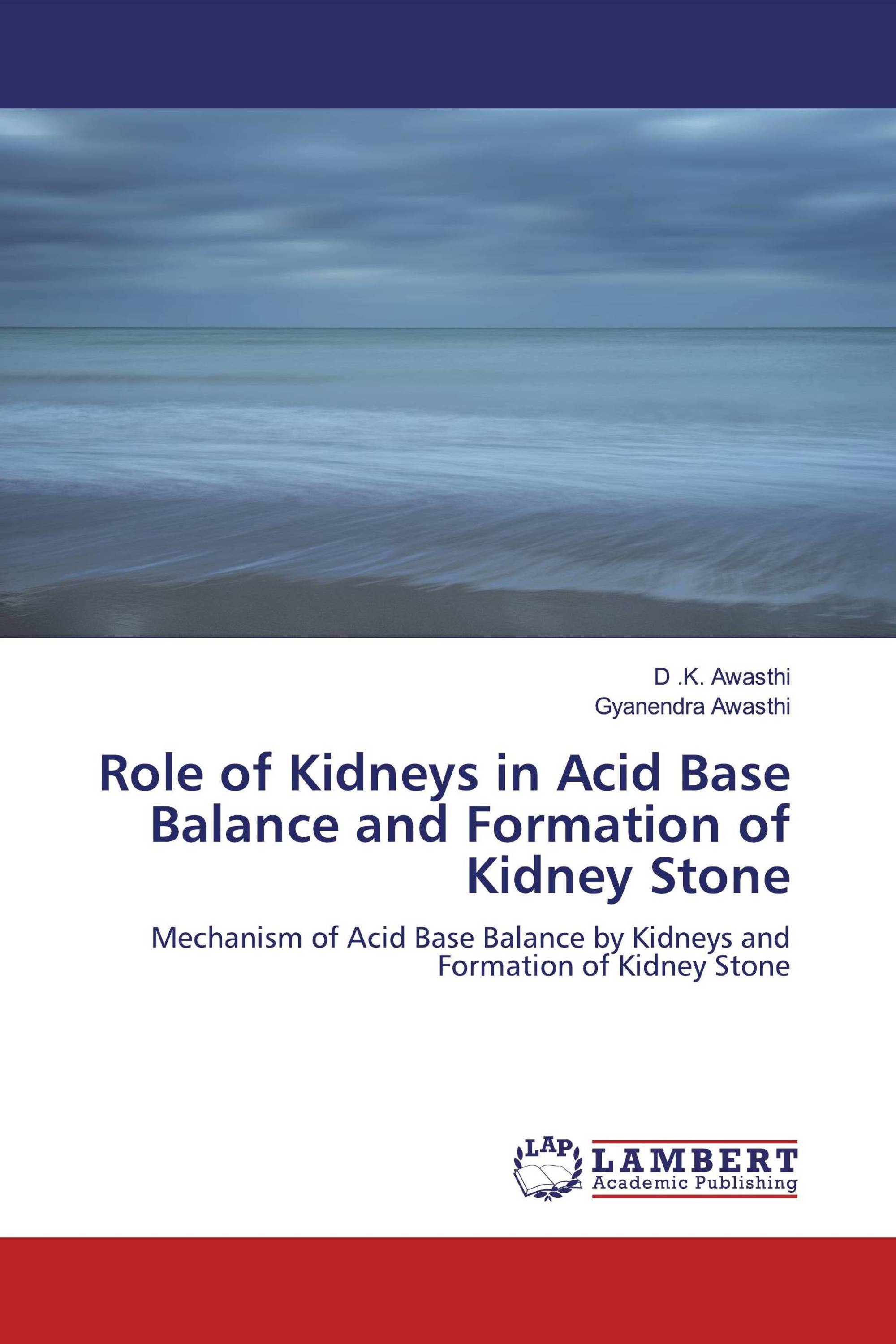 Role of Kidneys in Acid Base Balance and Formation of Kidney Stone