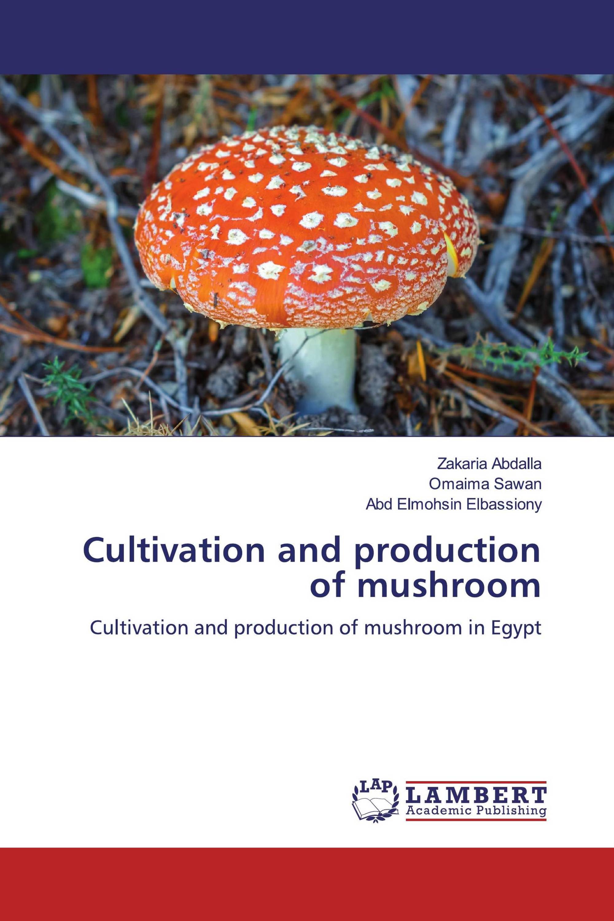 Cultivation and production of mushroom