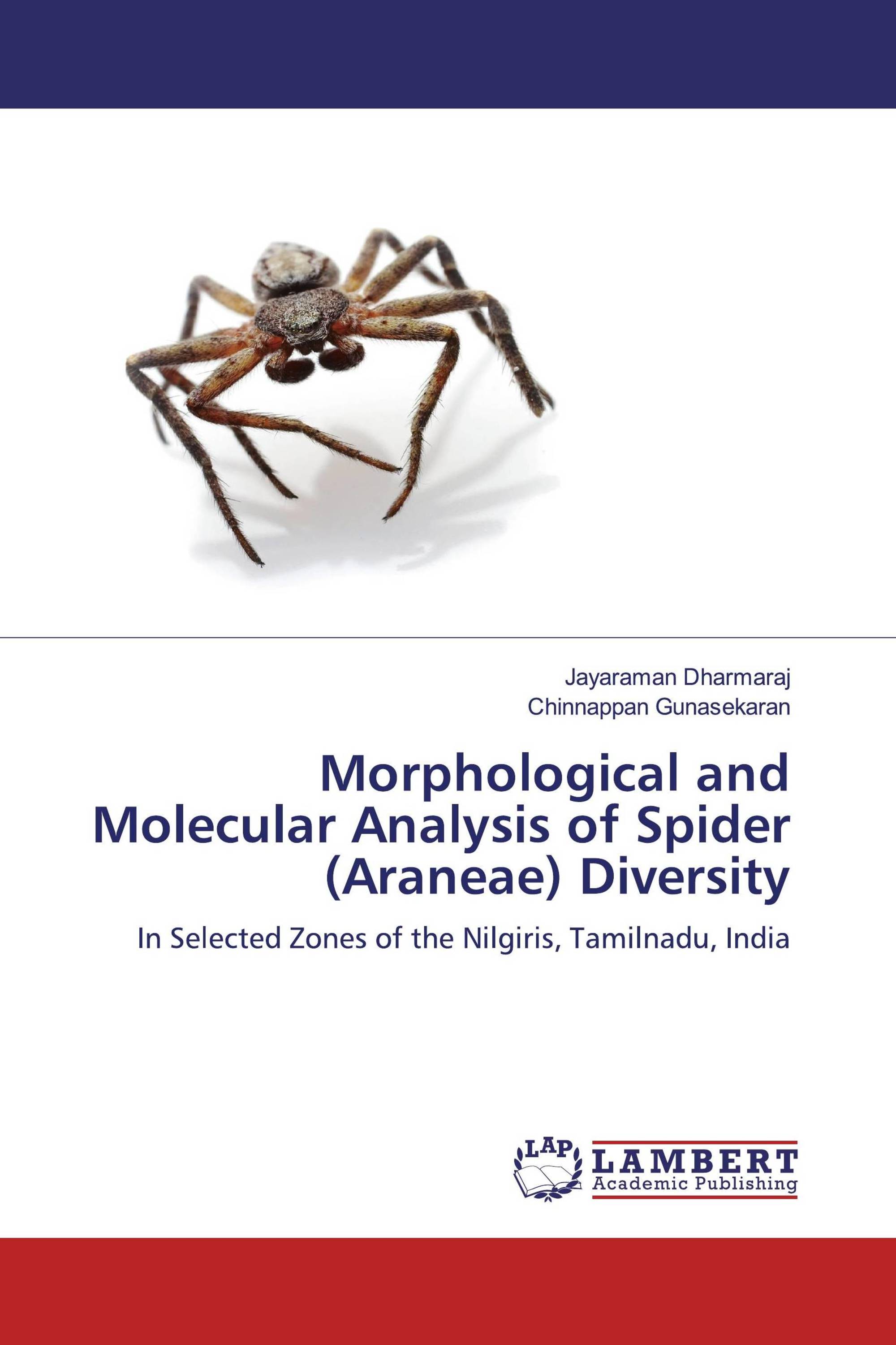 Morphological and Molecular Analysis of Spider (Araneae) Diversity