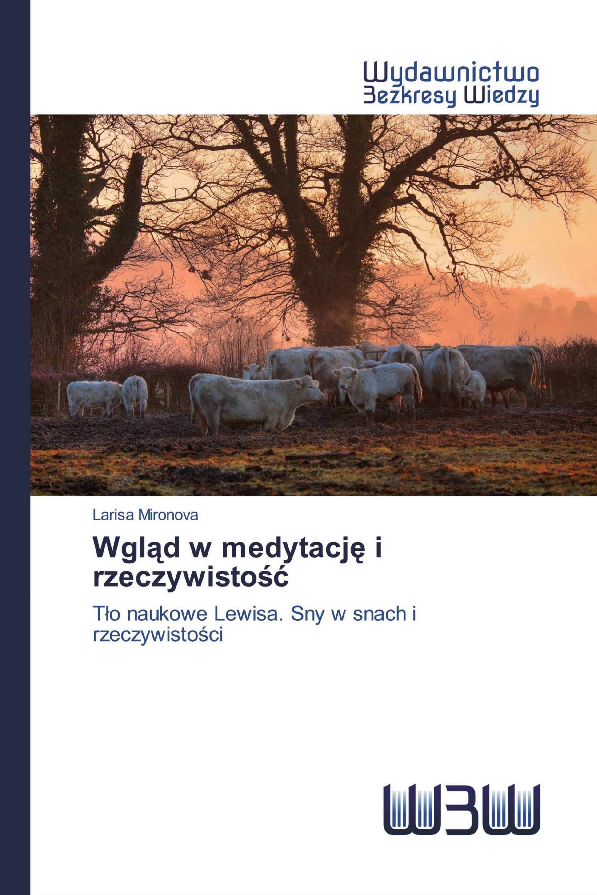 Wgląd w medytację i rzeczywistość