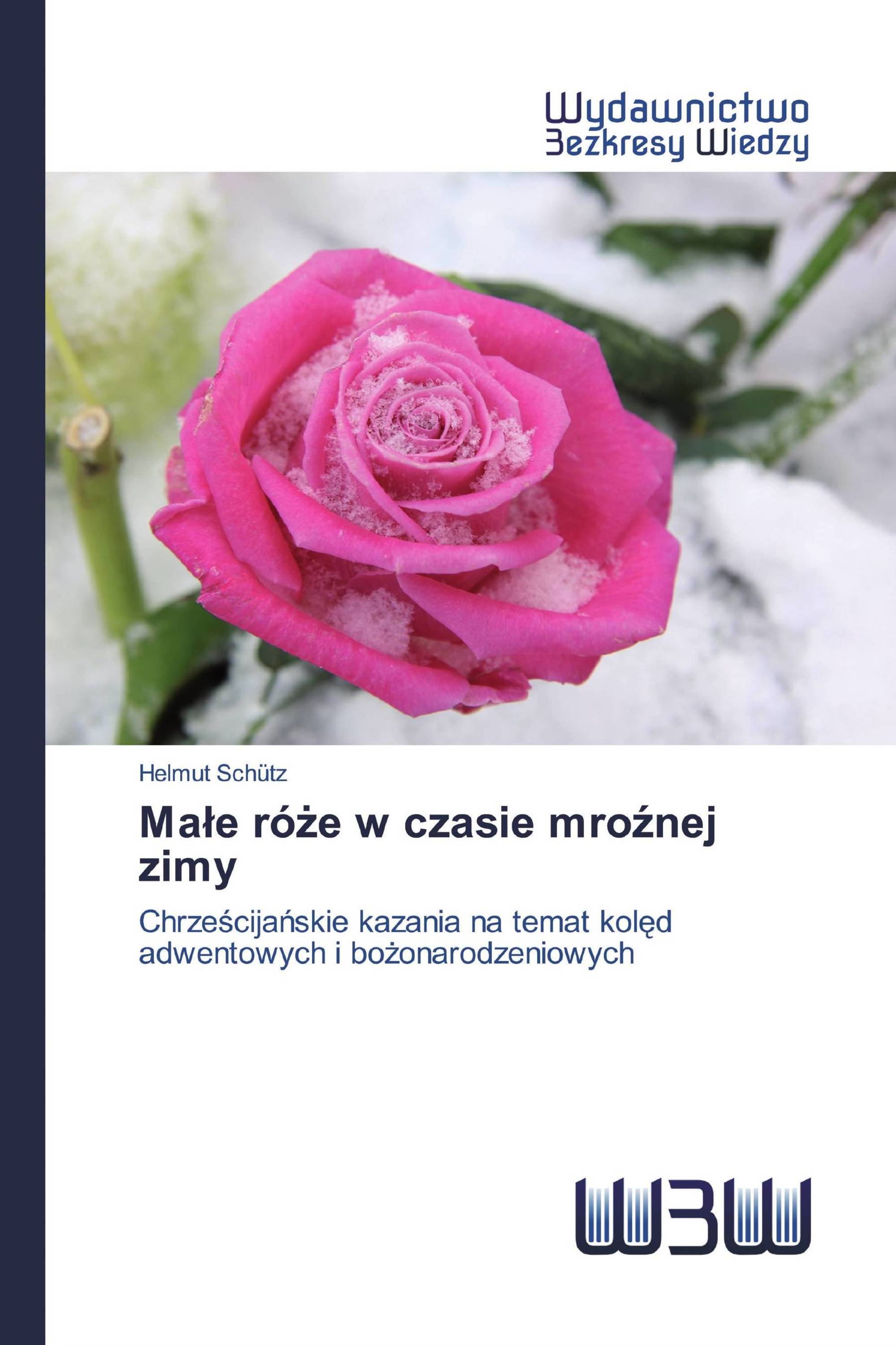 Małe róże w czasie mroźnej zimy