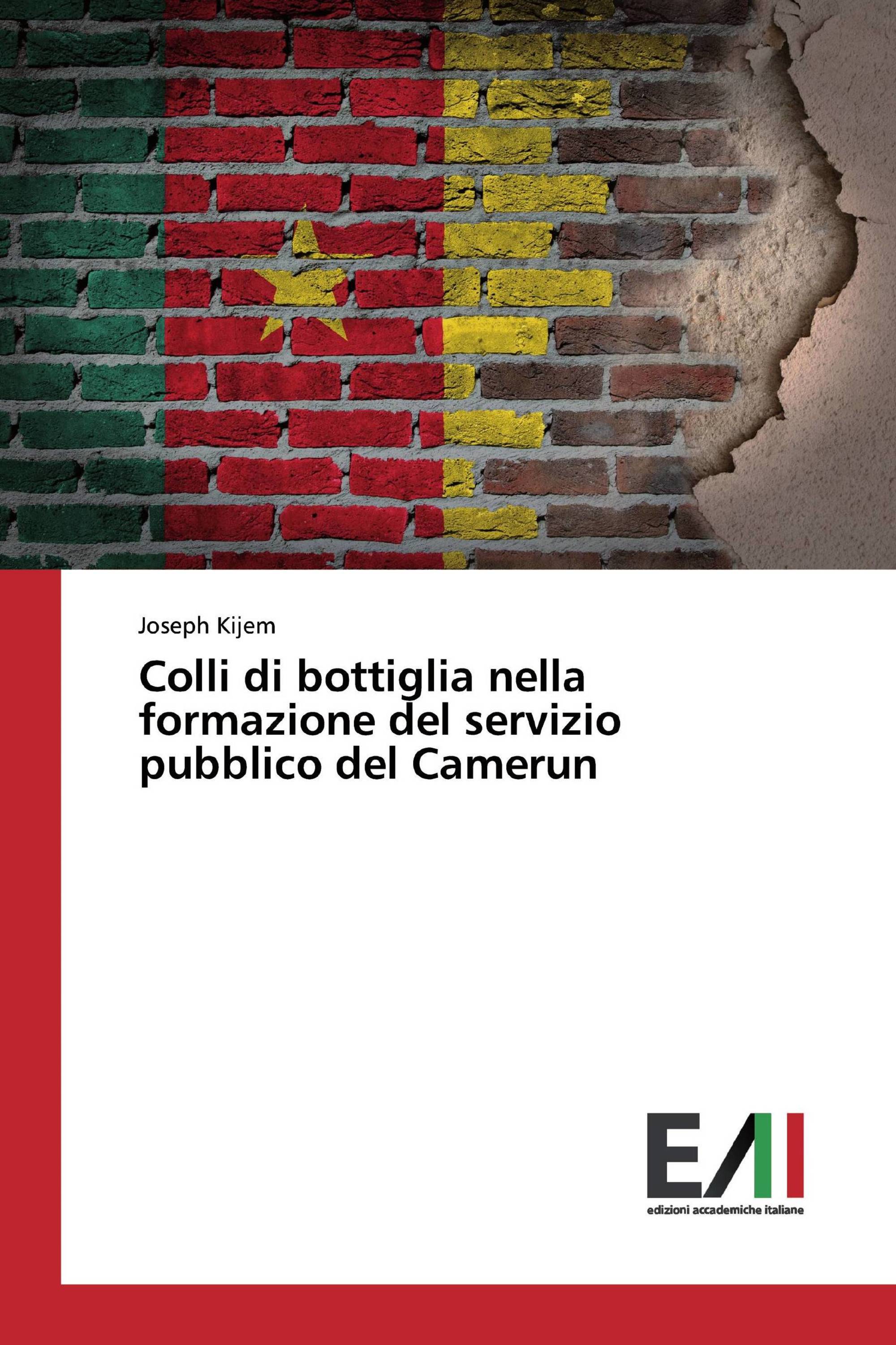 Colli di bottiglia nella formazione del servizio pubblico del Camerun