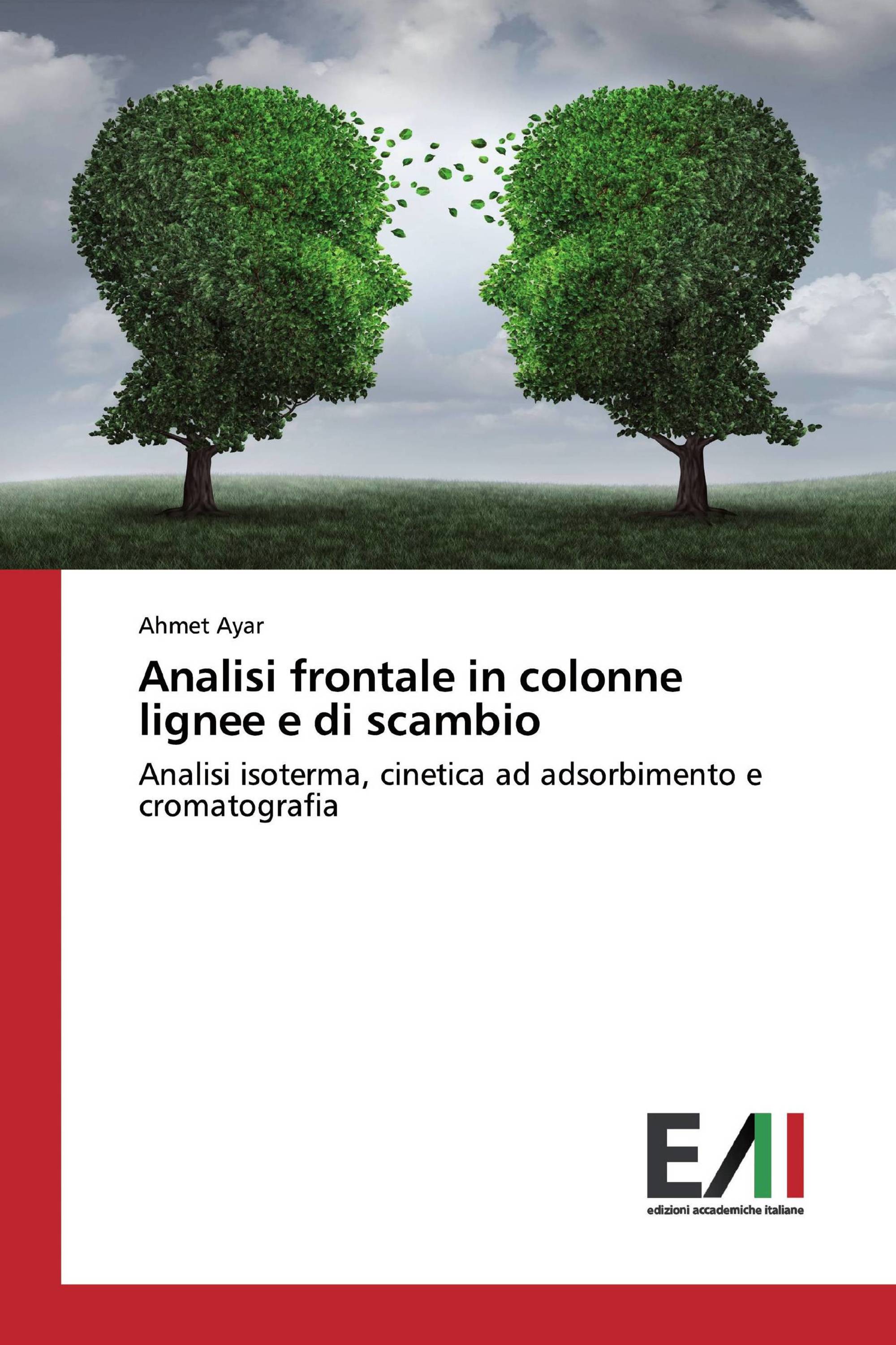 Analisi frontale in colonne lignee e di scambio