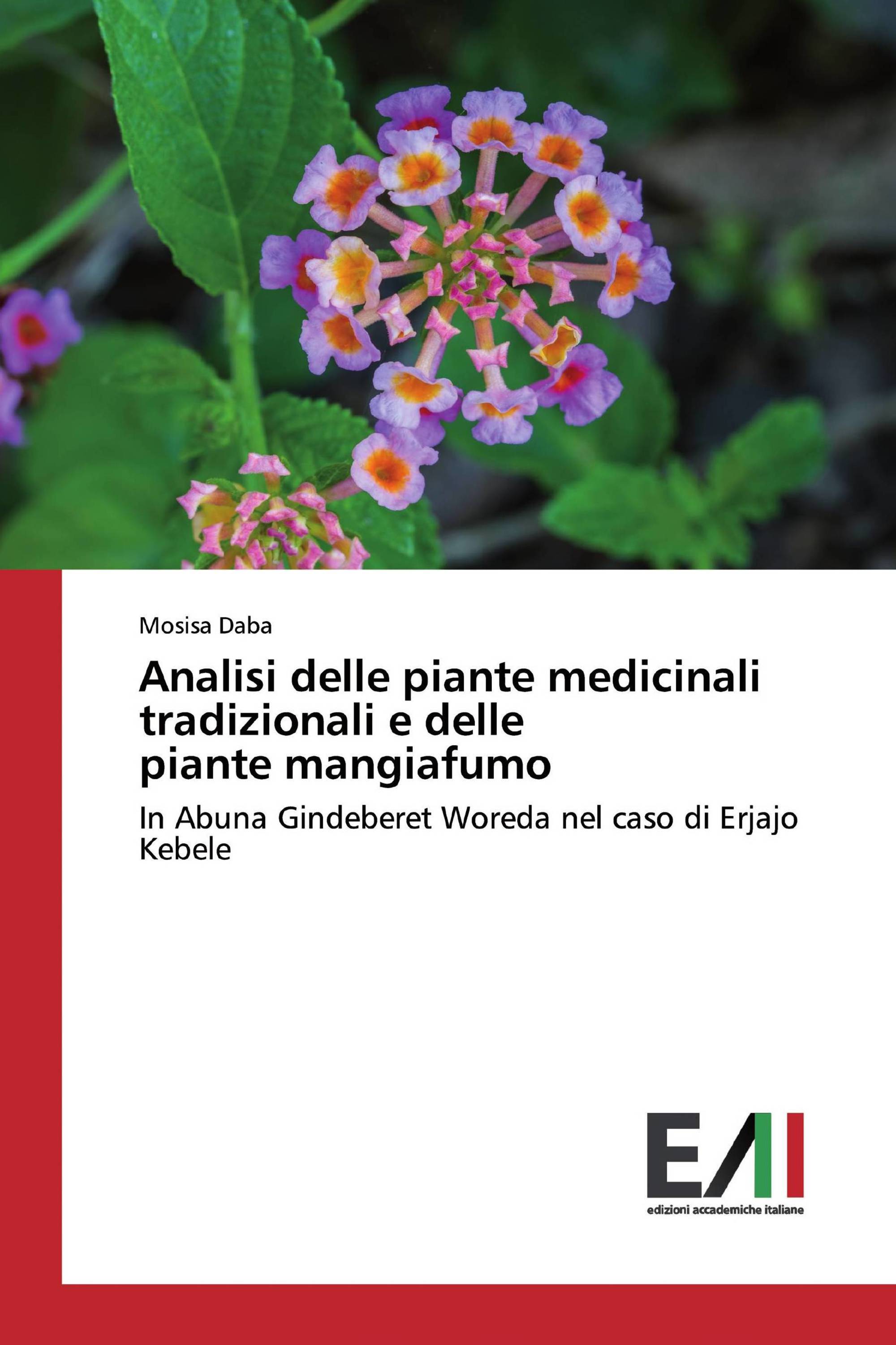 Analisi delle piante medicinali tradizionali e delle piante mangiafumo