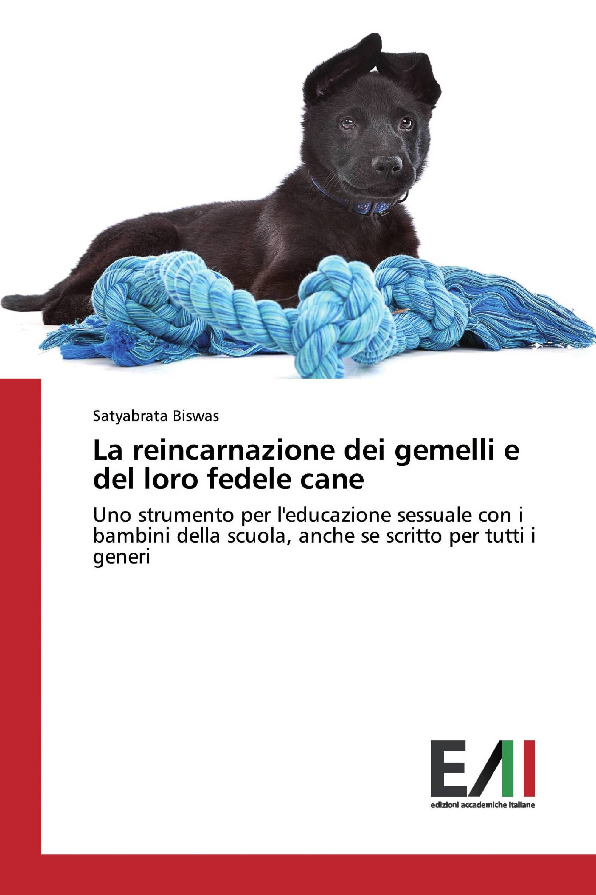 La reincarnazione dei gemelli e del loro fedele cane