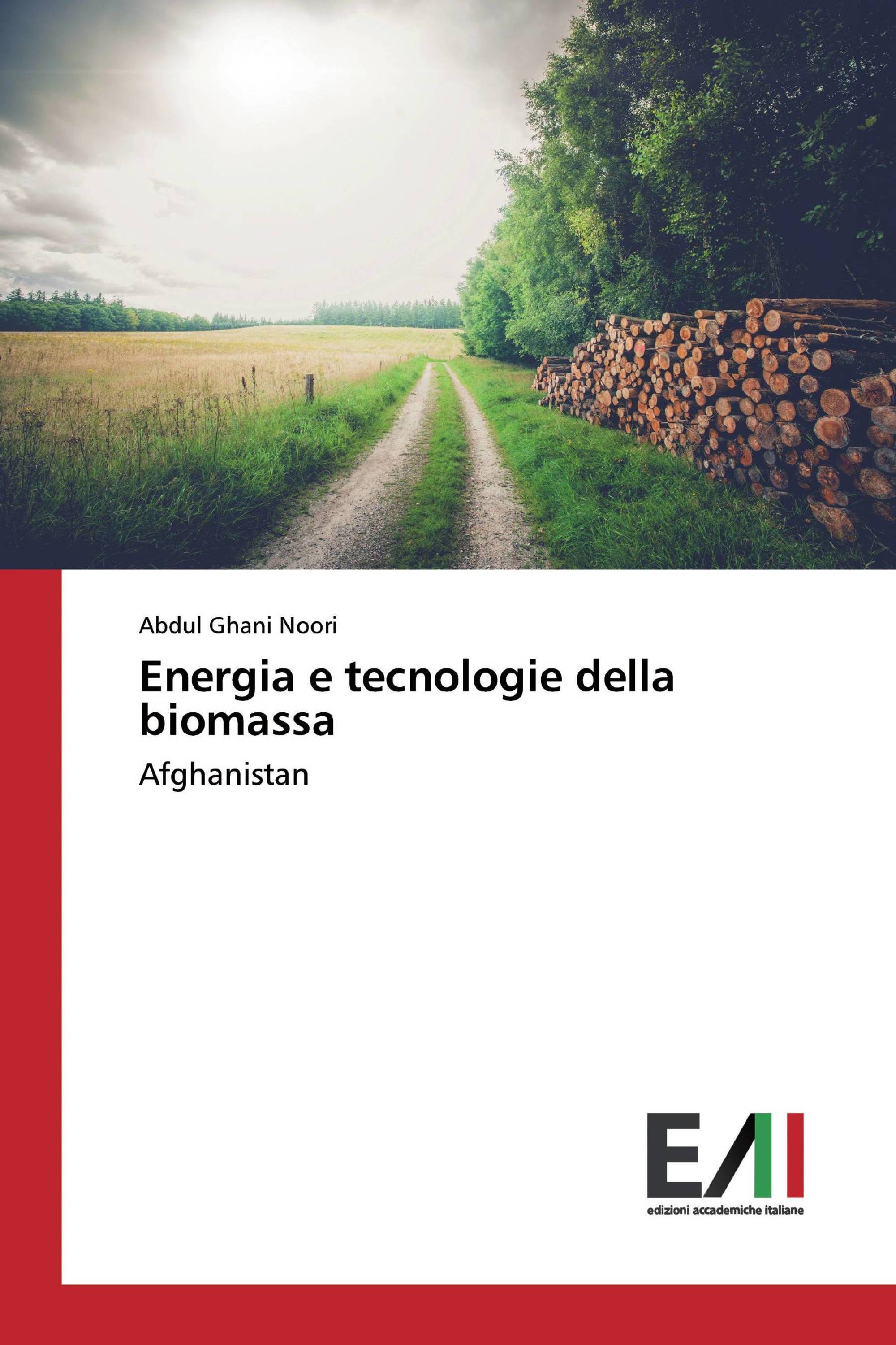 Energia e tecnologie della biomassa