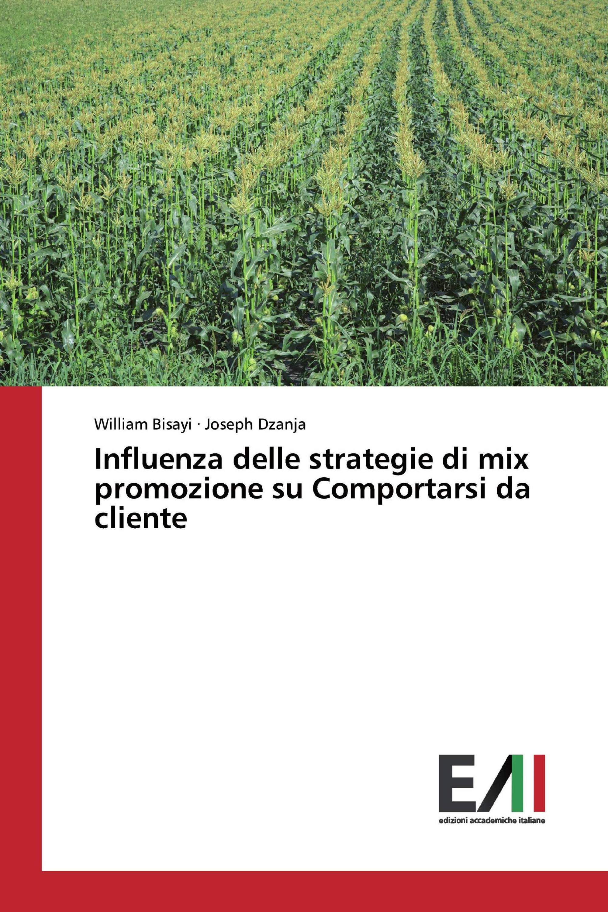 Influenza delle strategie di mix promozione su Comportarsi da cliente