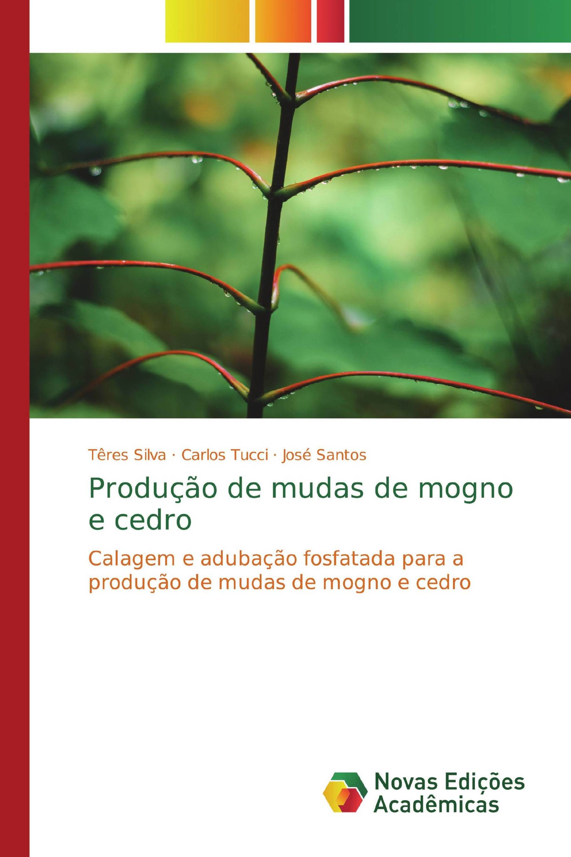 Produção de mudas de mogno e cedro