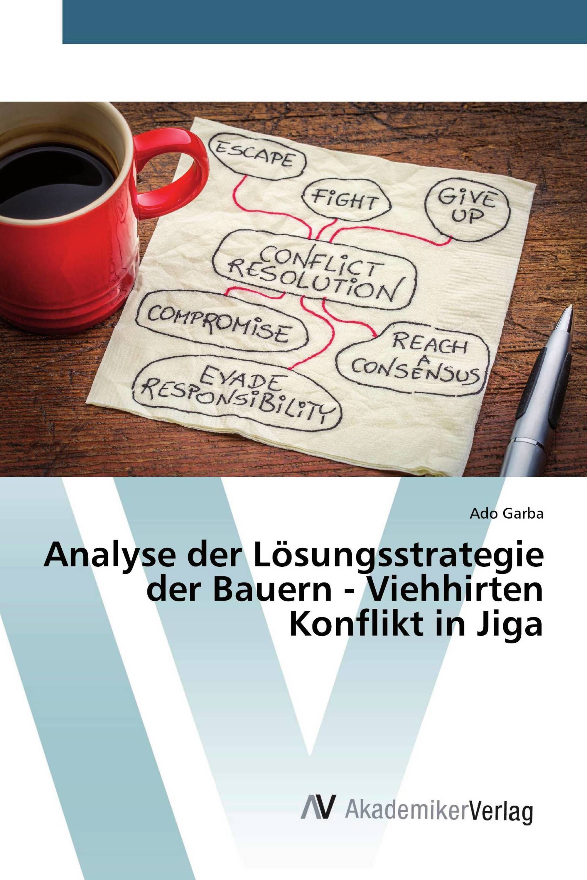 Analyse der Lösungsstrategie der Bauern - Viehhirten Konflikt in Jiga