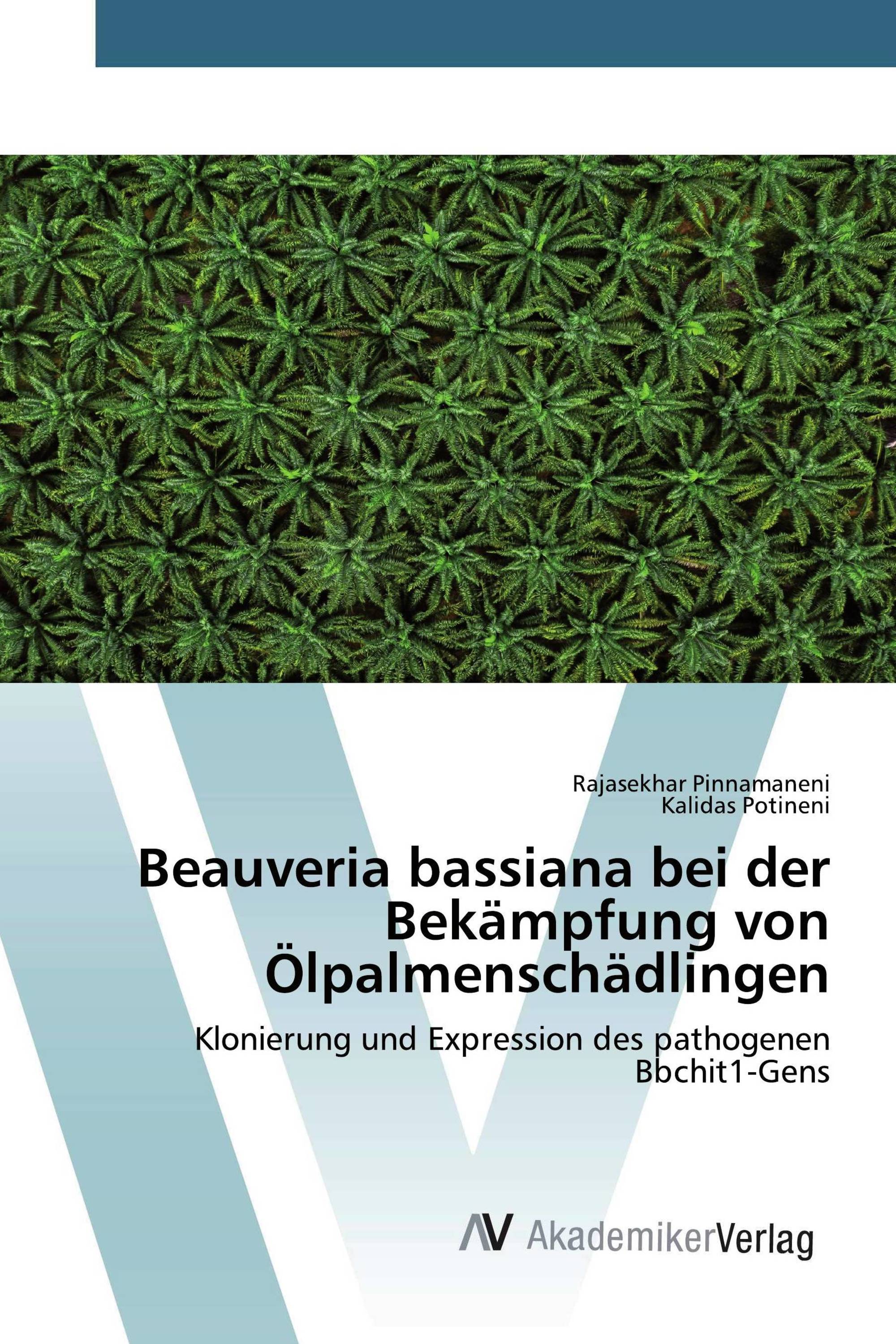 Beauveria bassiana bei der Bekämpfung von Ölpalmenschädlingen