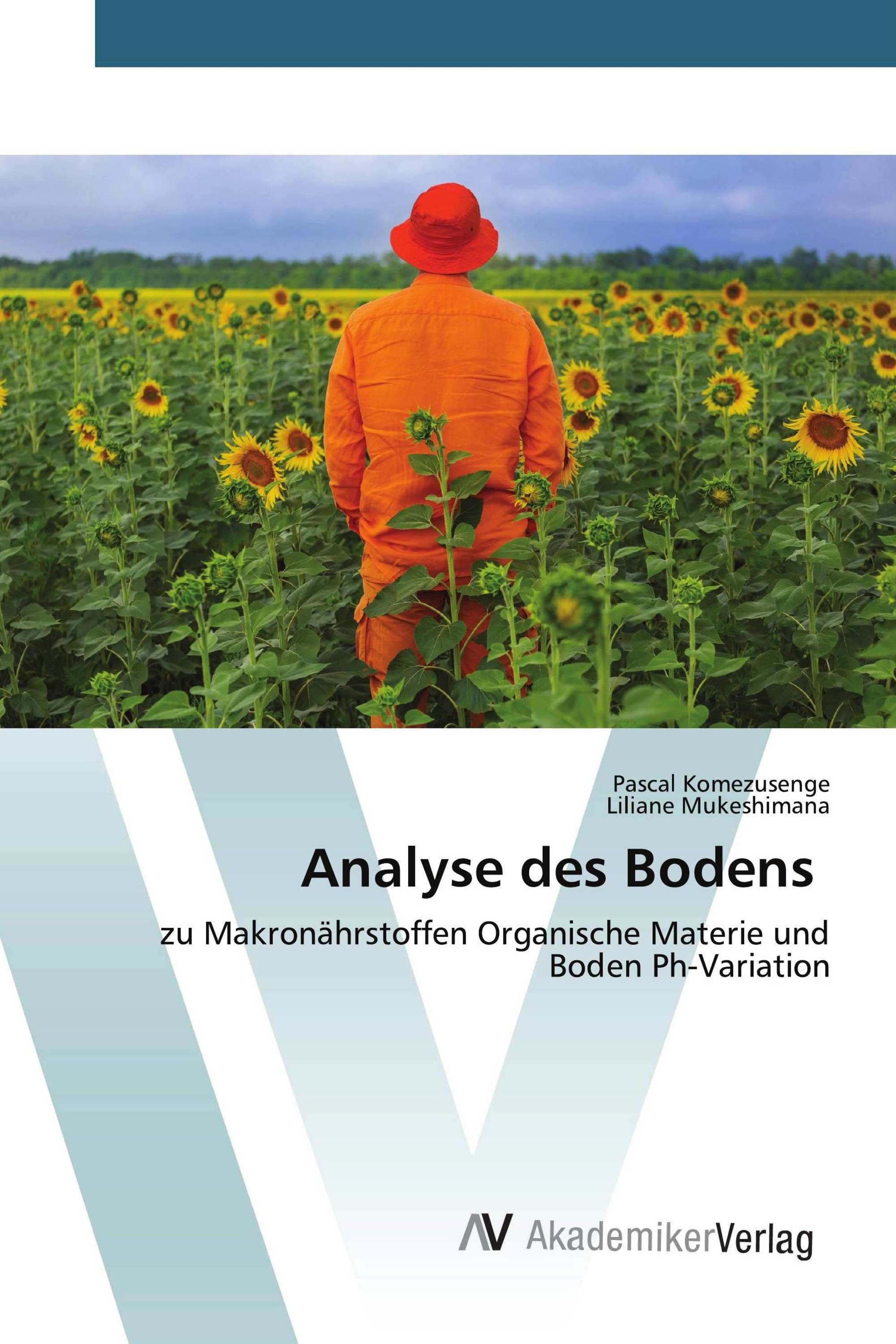 Analyse des Bodens