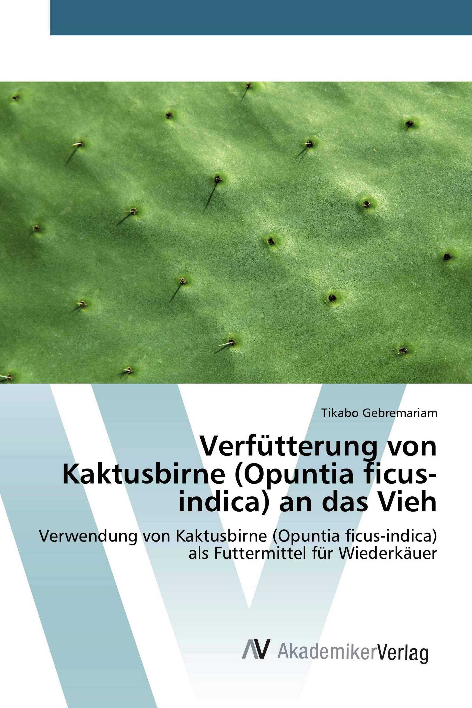 Verfütterung von Kaktusbirne (Opuntia ficus-indica) an das Vieh