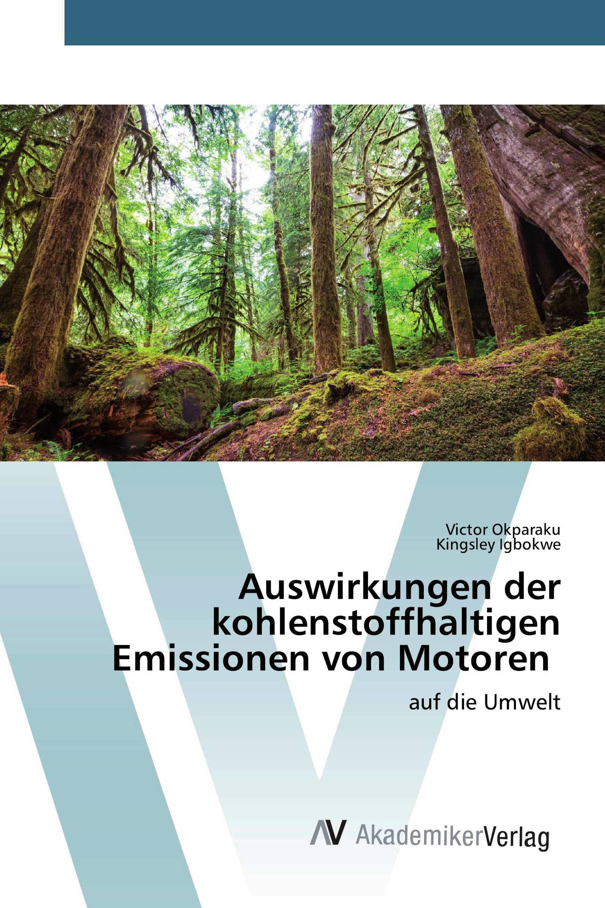 Auswirkungen der kohlenstoffhaltigen Emissionen von Motoren