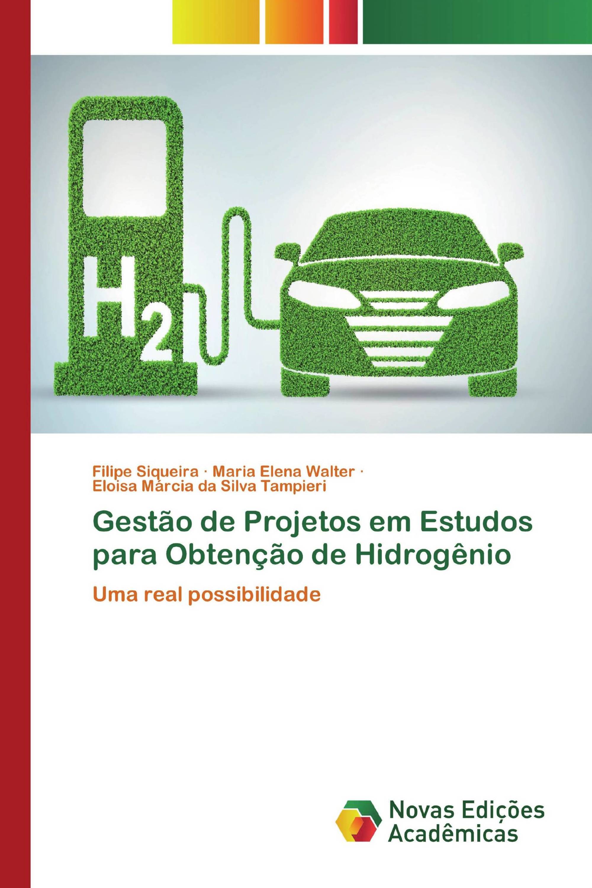 Gestão de Projetos em Estudos para Obtenção de Hidrogênio