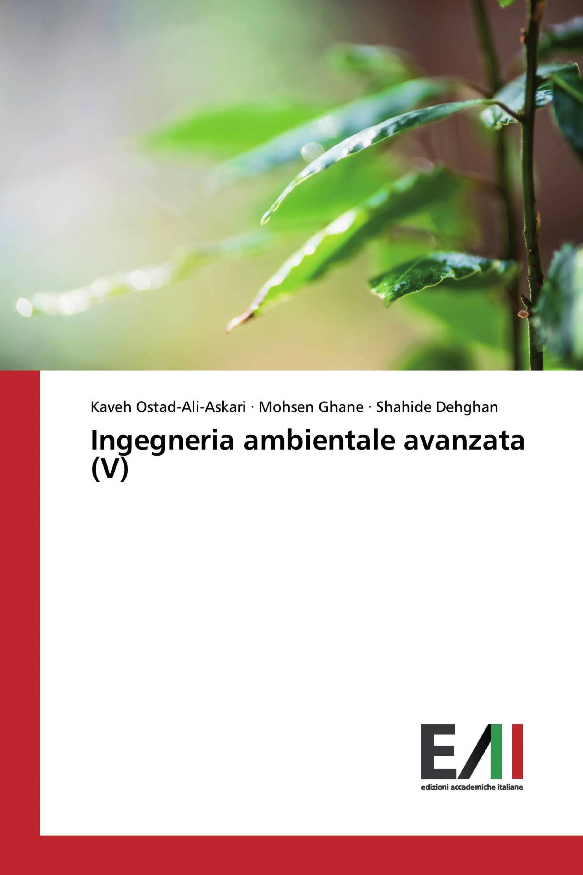 Ingegneria ambientale avanzata (V)