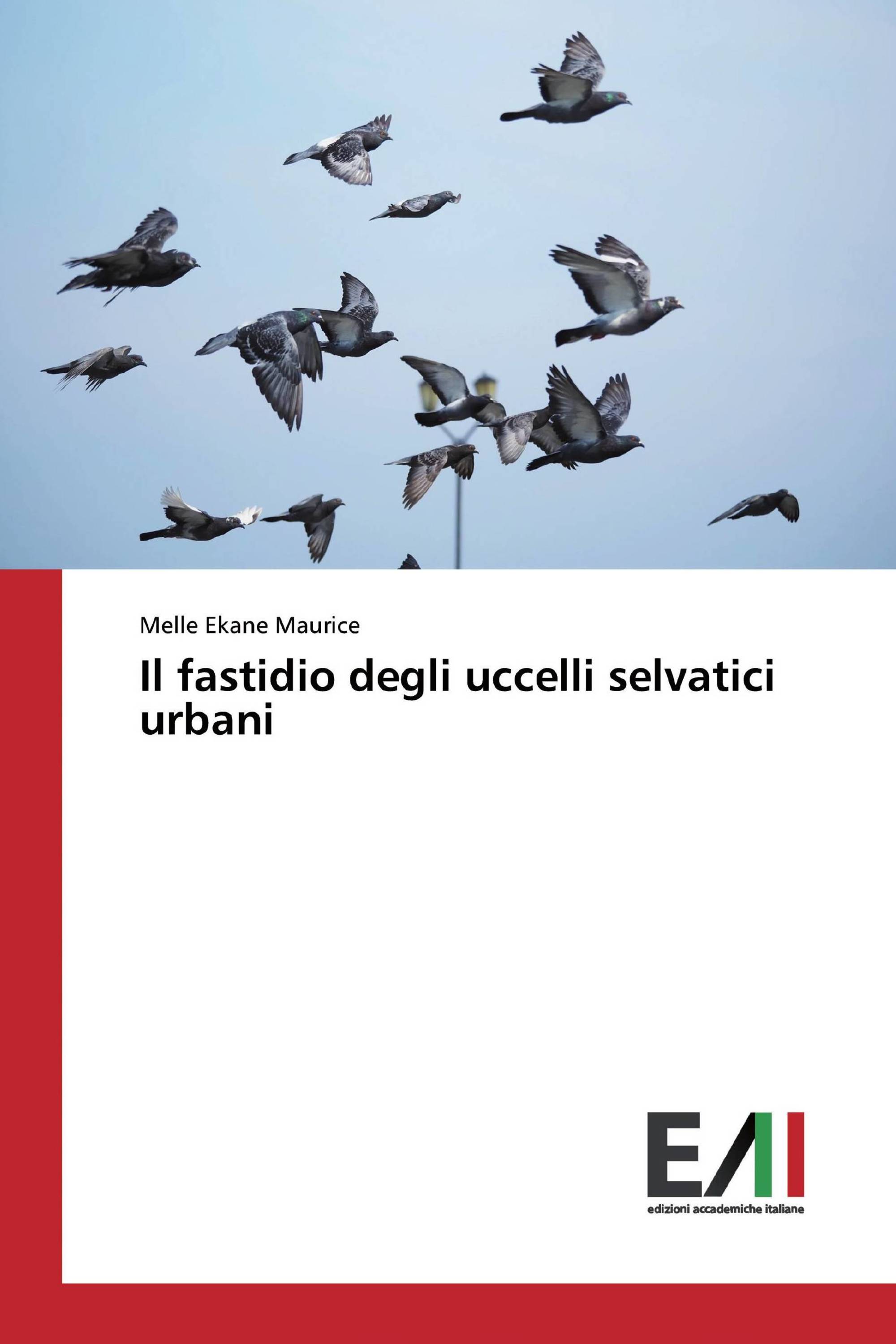 Il fastidio degli uccelli selvatici urbani