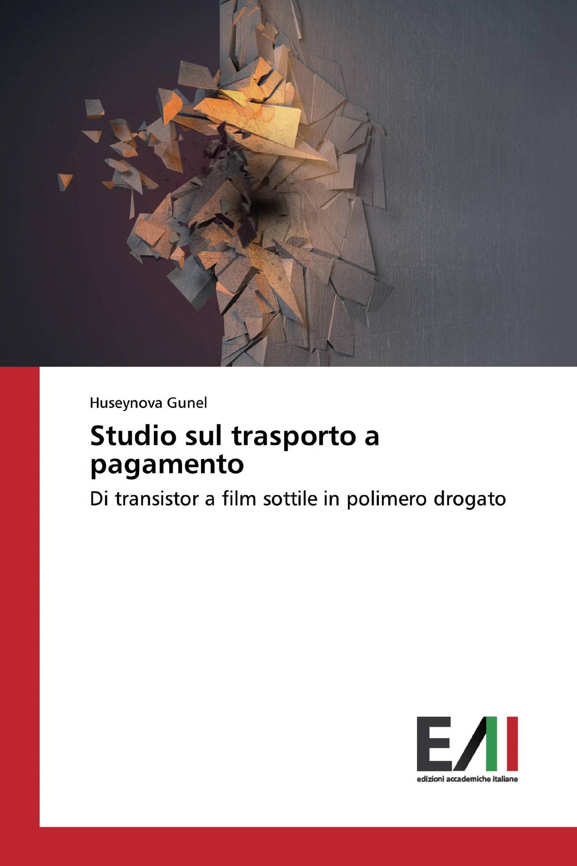 Studio sul trasporto a pagamento