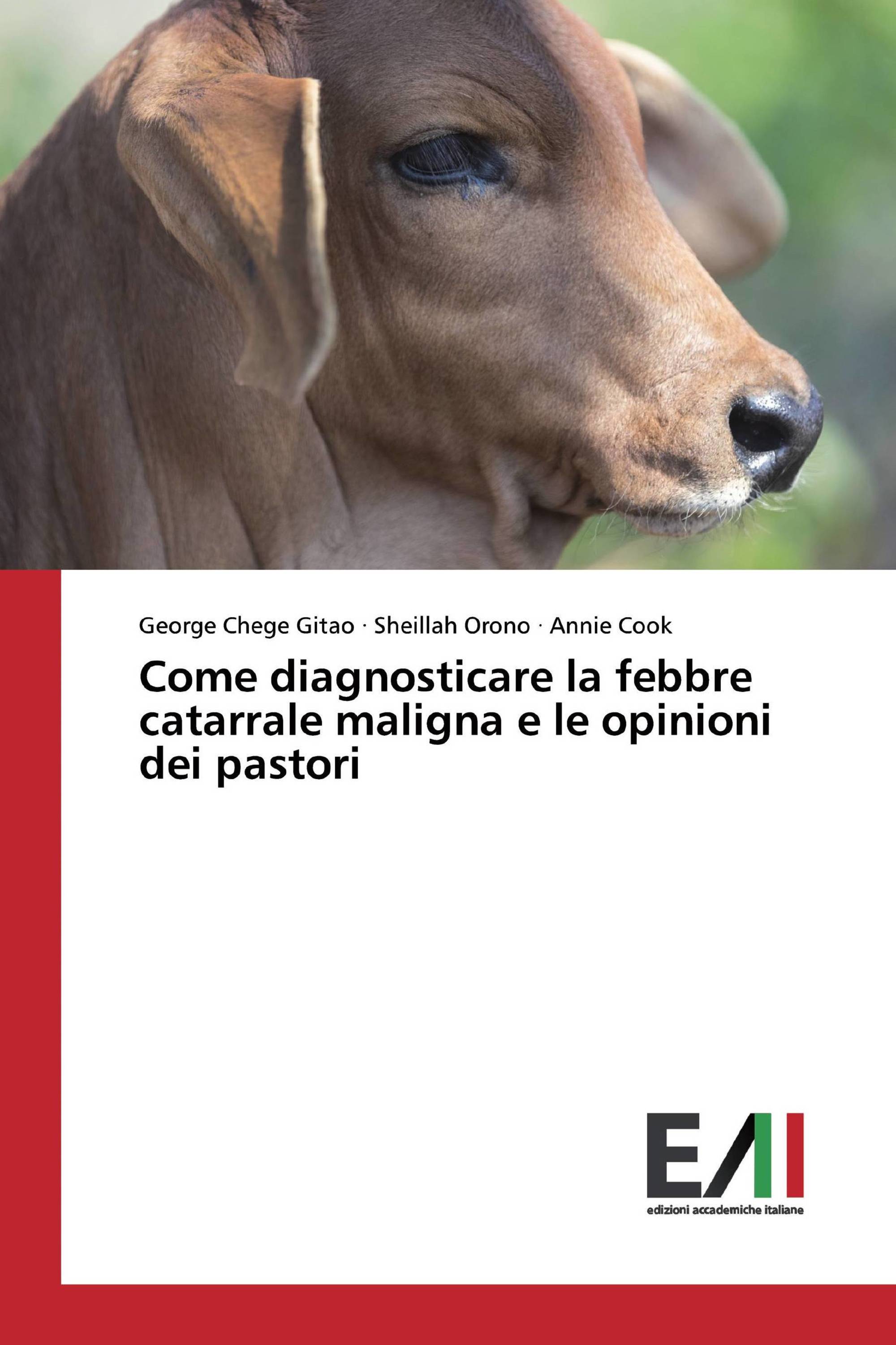 Come diagnosticare la febbre catarrale maligna e le opinioni dei pastori