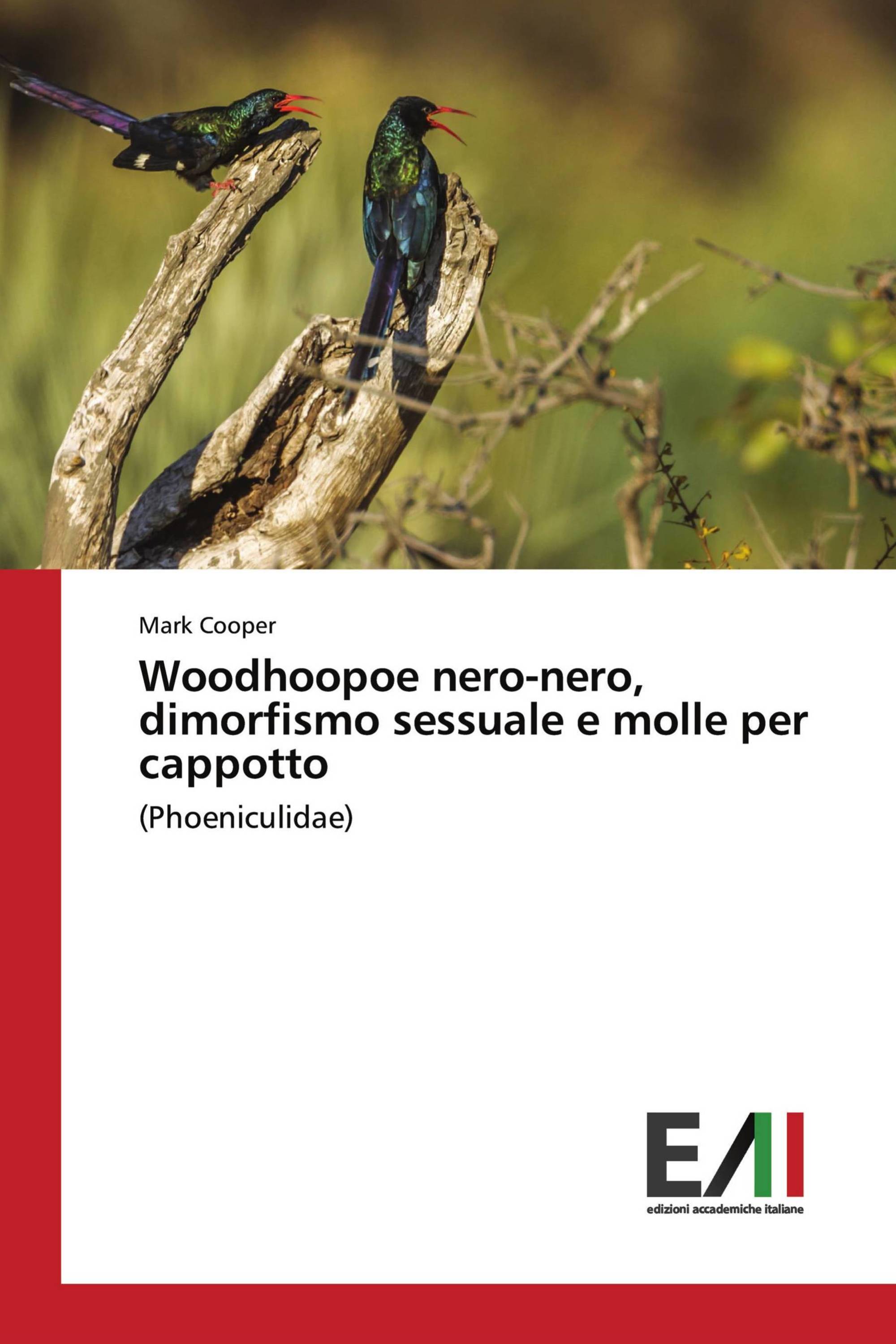 Woodhoopoe nero-nero, dimorfismo sessuale e molle per cappotto