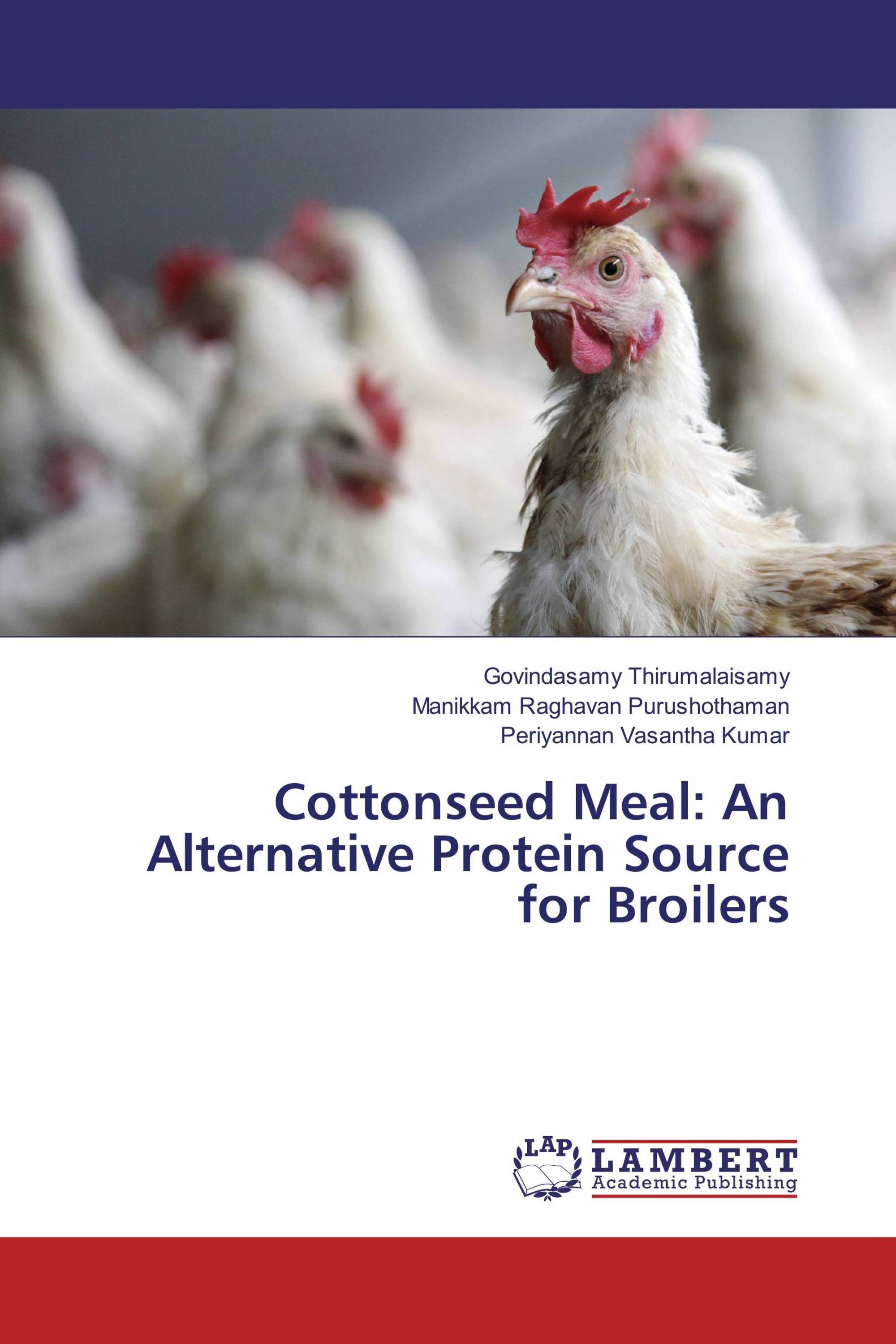 Cottonseed Meal: An Alternative Protein Source for Broilers