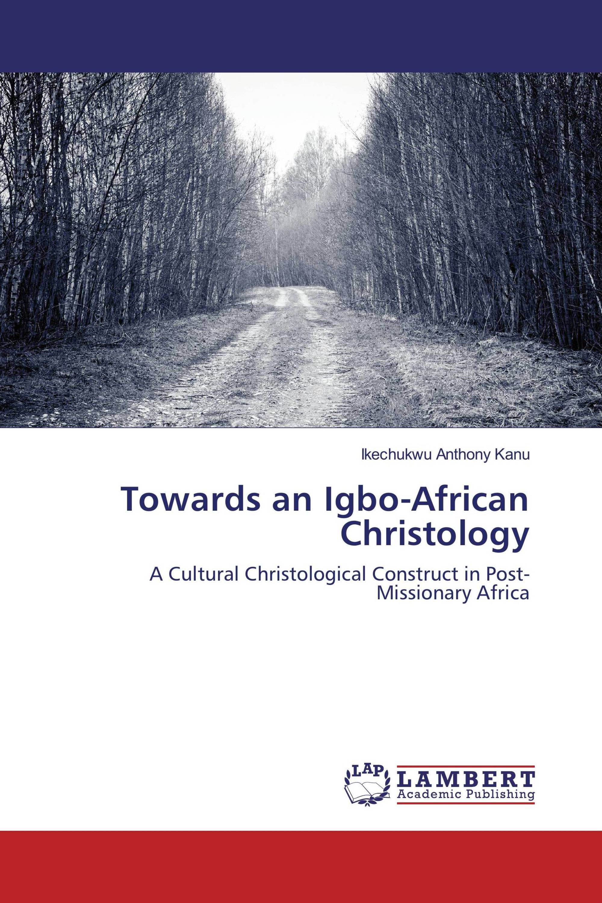 Towards an Igbo-African Christology