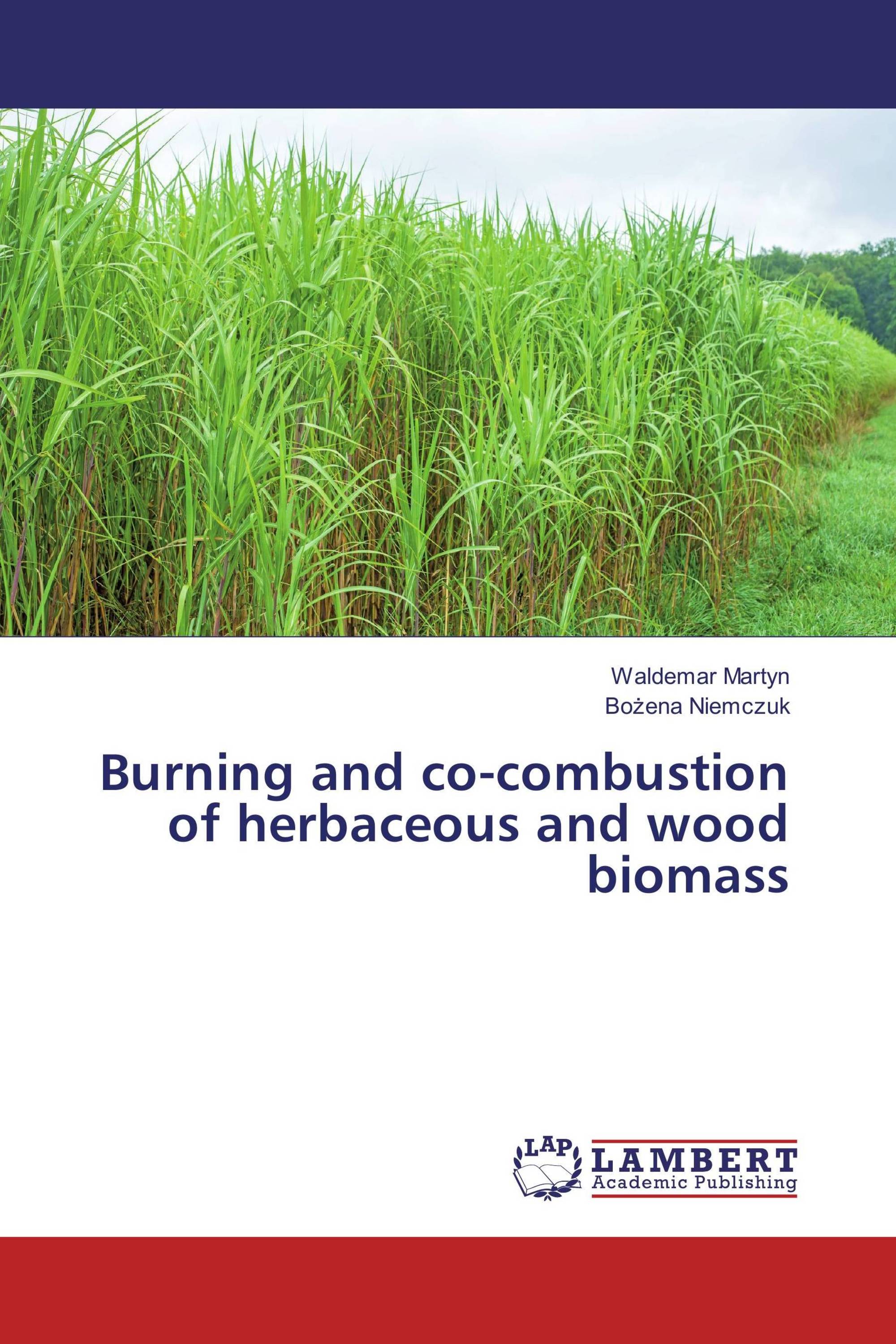 Burning and co-combustion of herbaceous and wood biomass