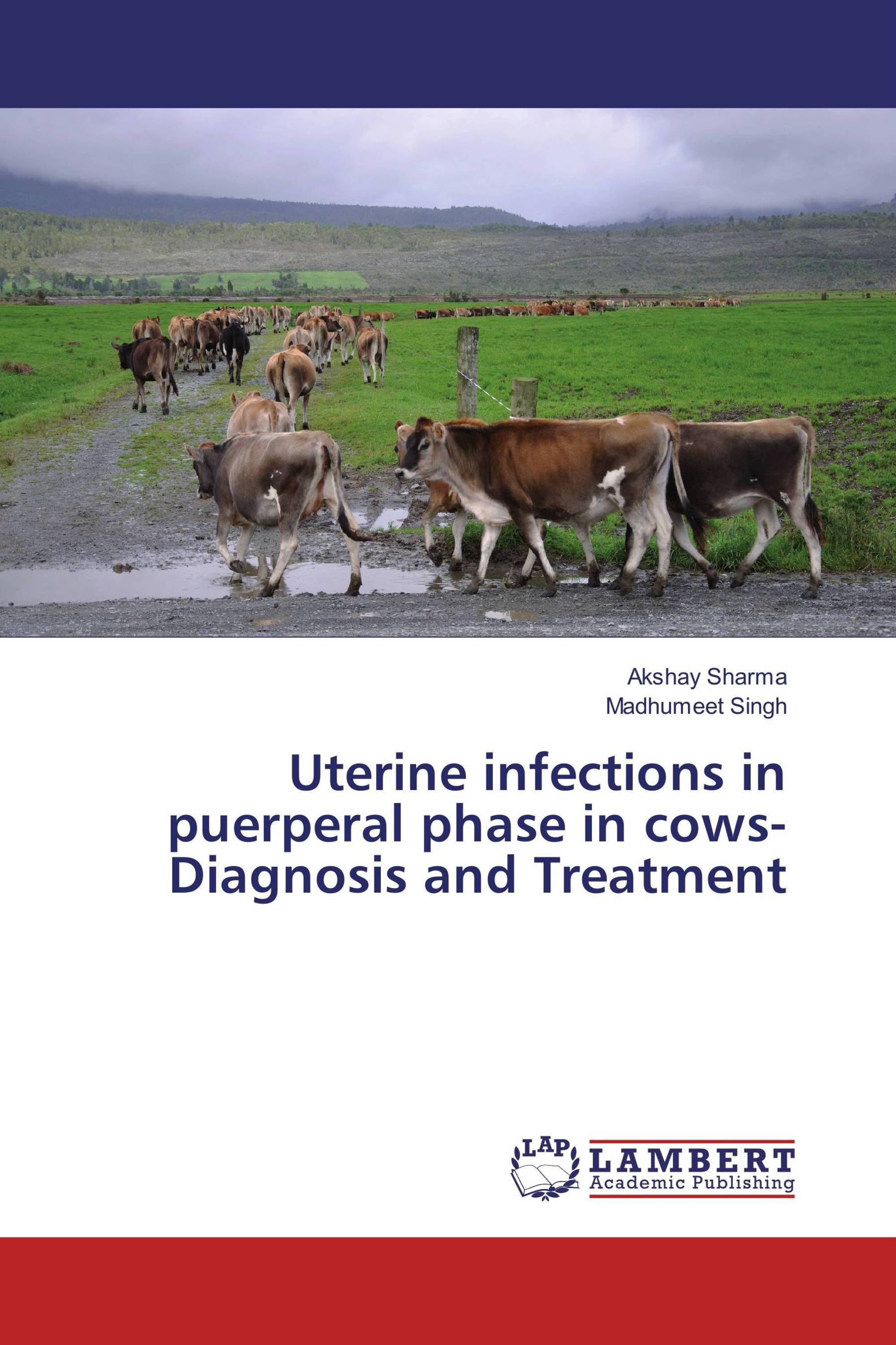 Uterine infections in puerperal phase in cows-Diagnosis and Treatment