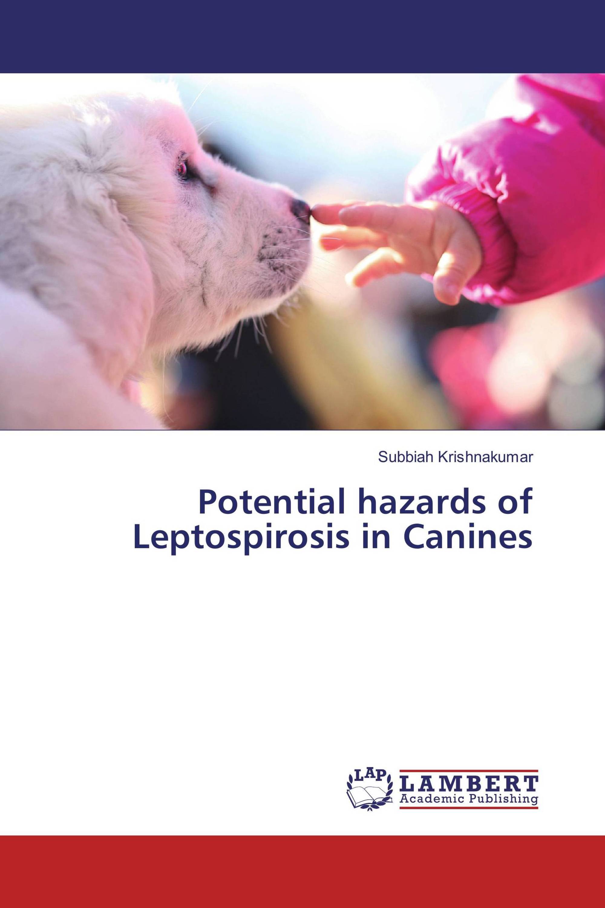 Potential hazards of Leptospirosis in Canines