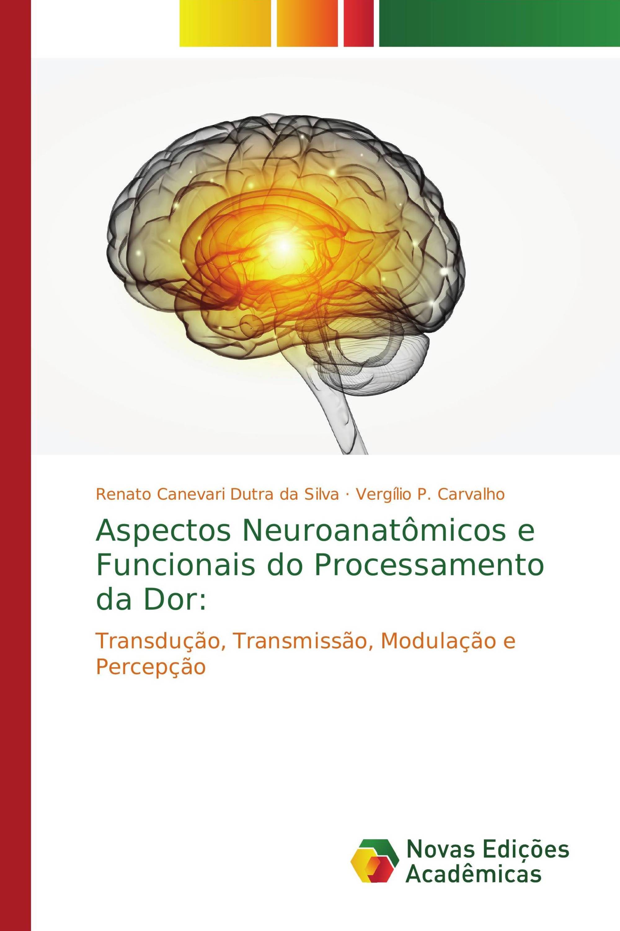 Aspectos Neuroanatômicos e Funcionais do Processamento da Dor: