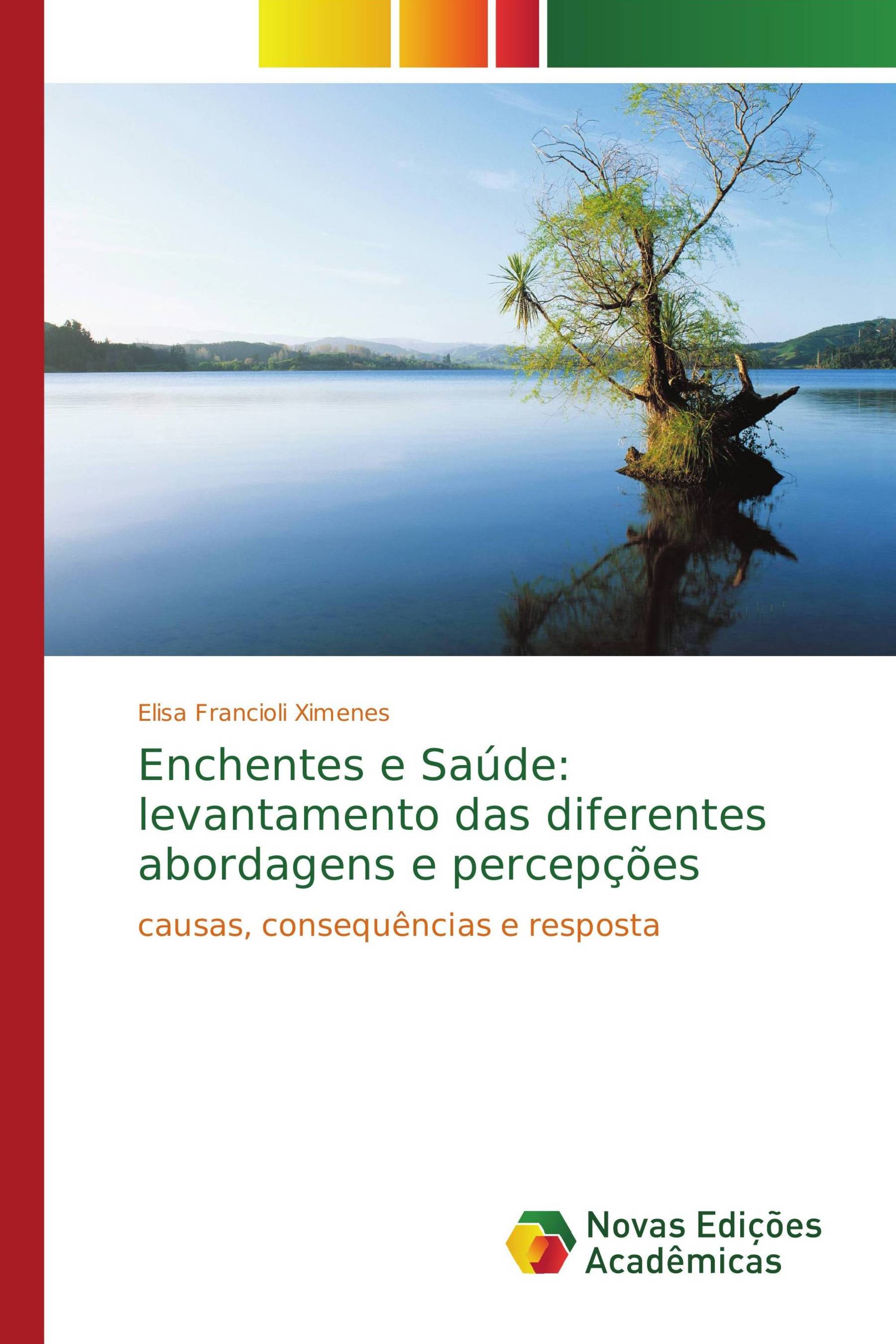 Enchentes e Saúde: levantamento das diferentes abordagens e percepções