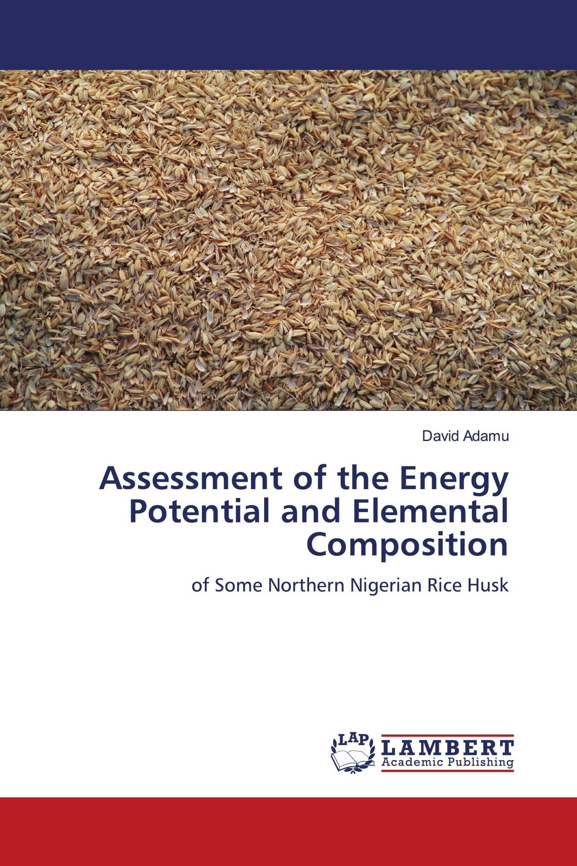 Assessment of the Energy Potential and Elemental Composition