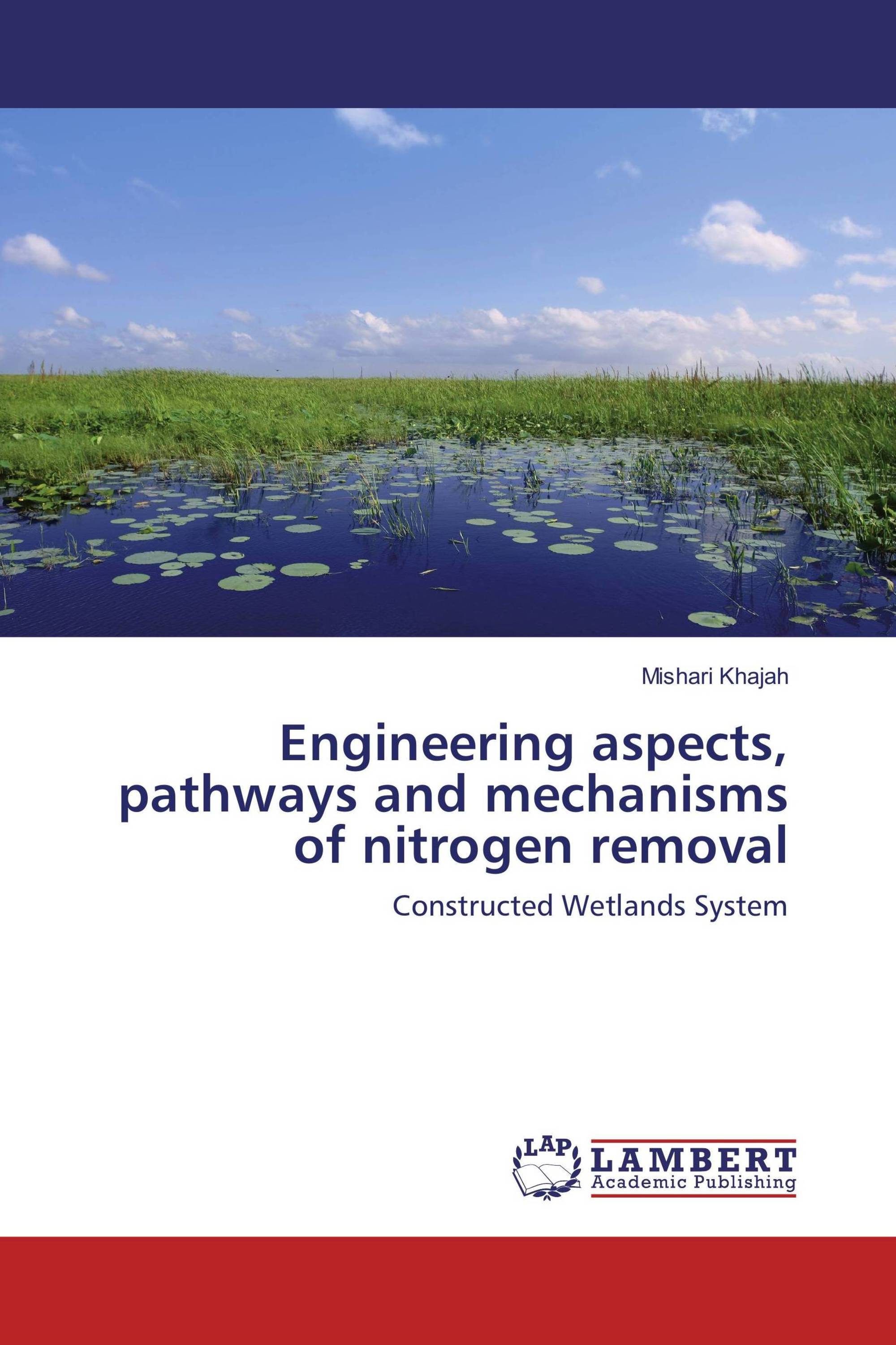 Engineering aspects, pathways and mechanisms of nitrogen removal