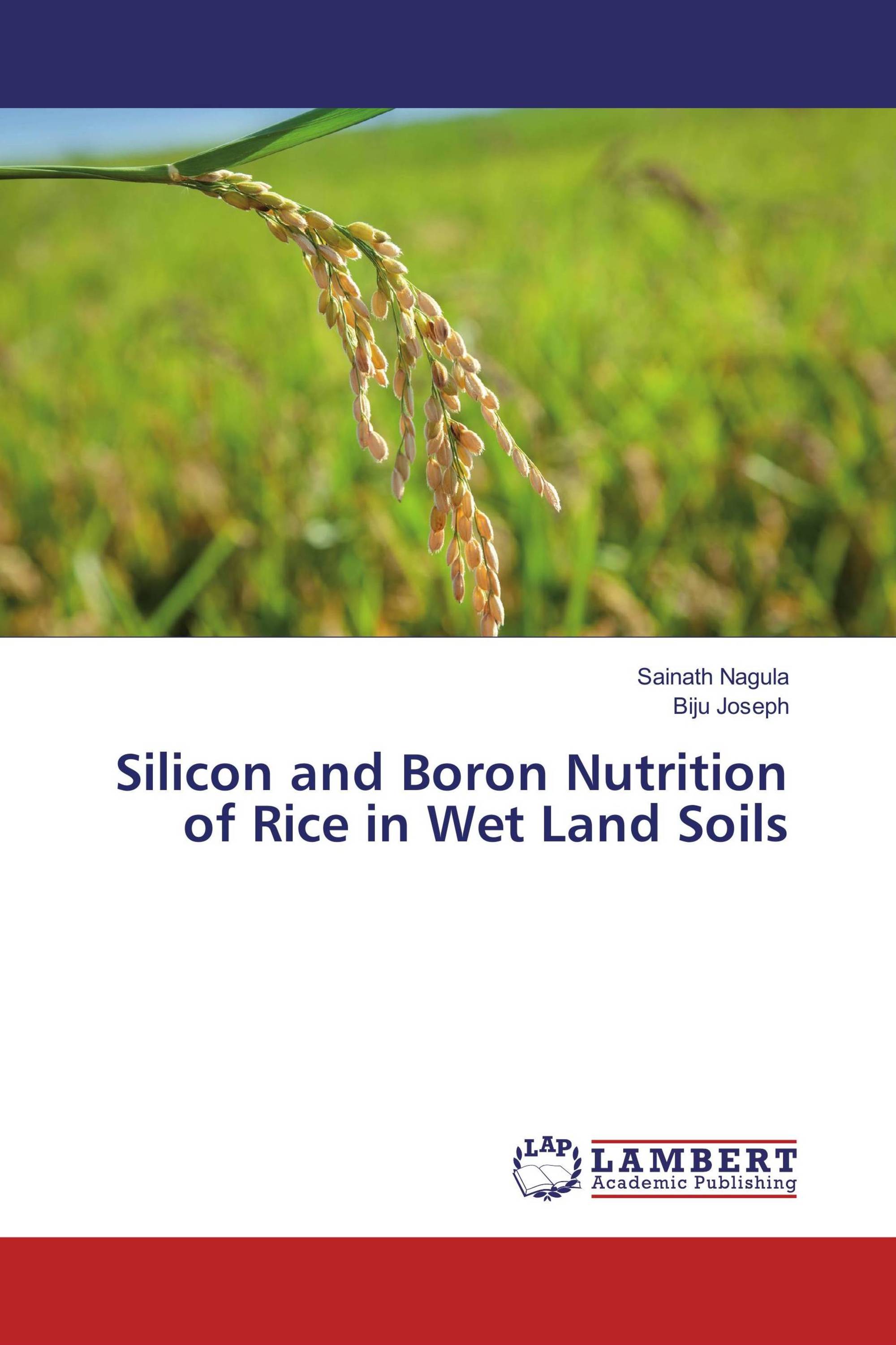 Silicon and Boron Nutrition of Rice in Wet Land Soils