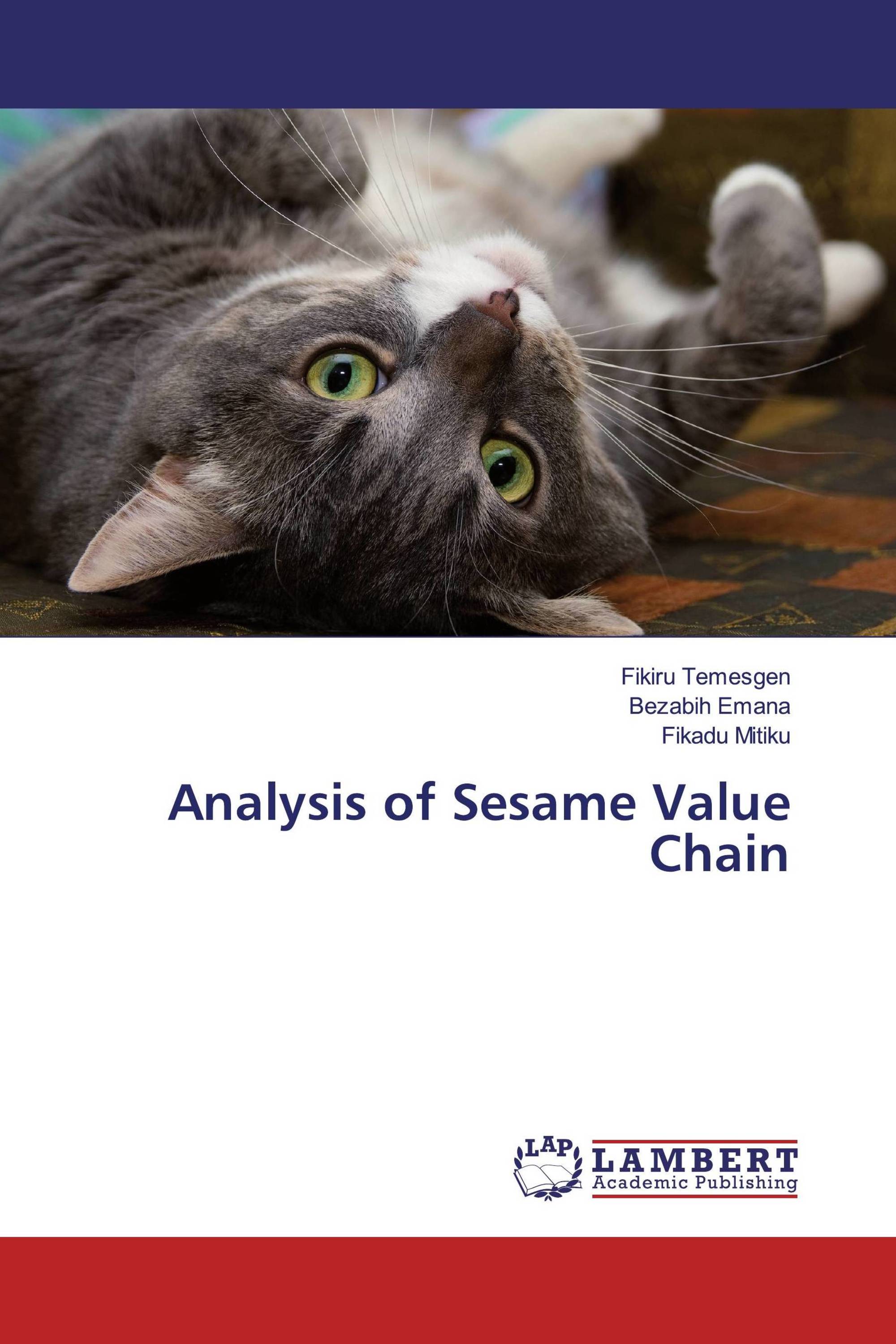 Analysis of Sesame Value Chain