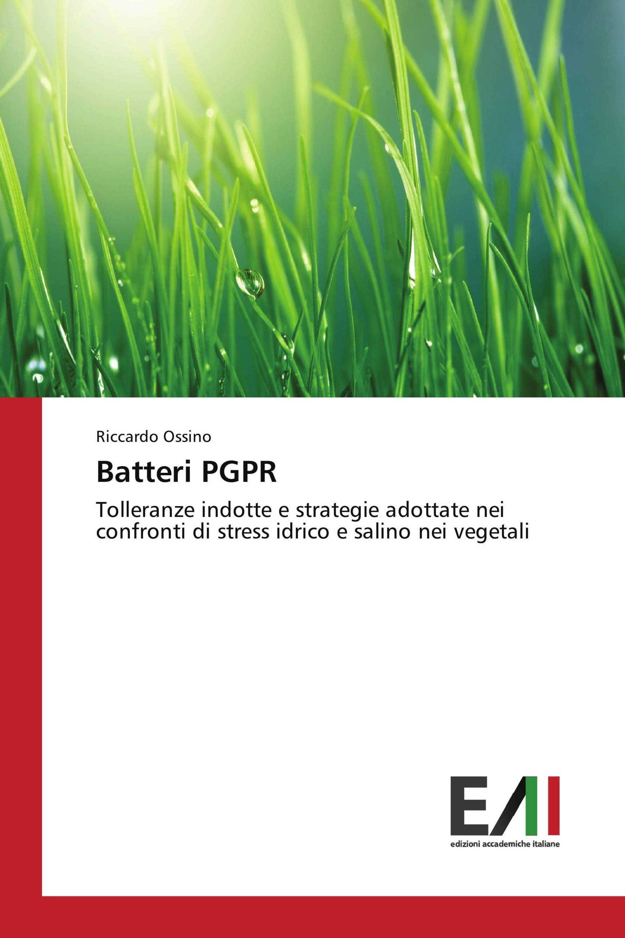 Batteri PGPR