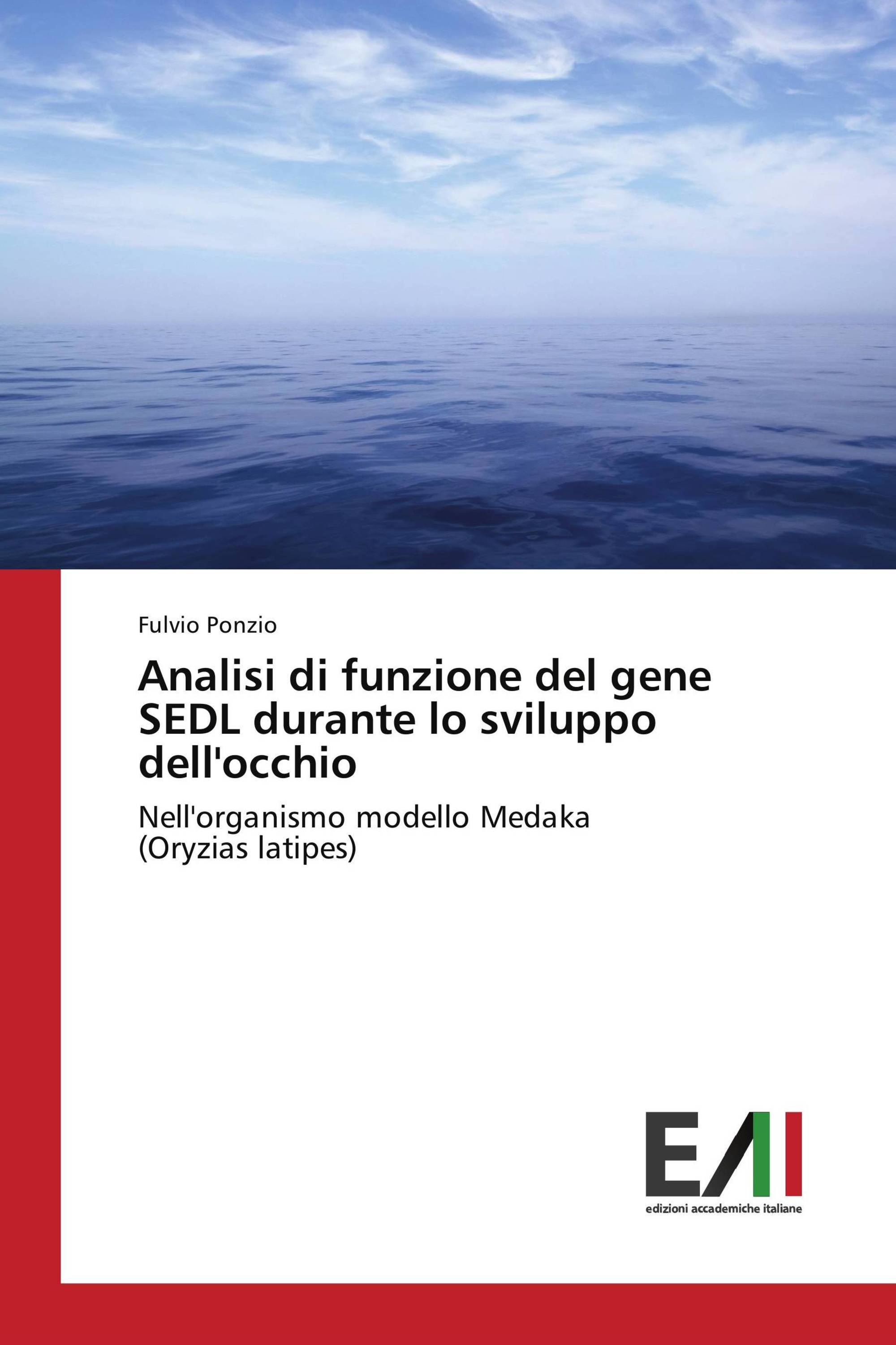 Analisi di funzione del gene SEDL durante lo sviluppo dell'occhio