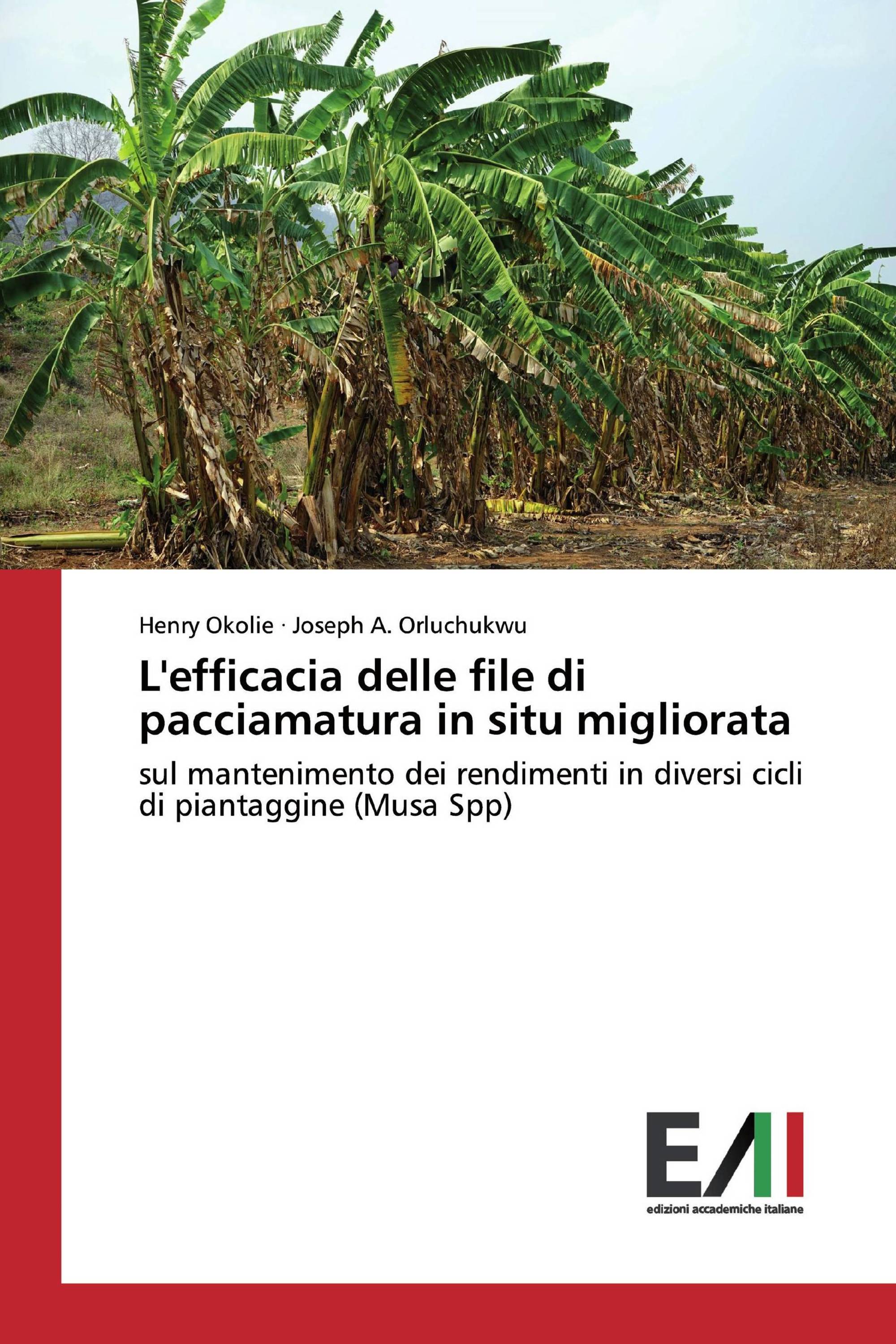 L'efficacia delle file di pacciamatura in situ migliorata