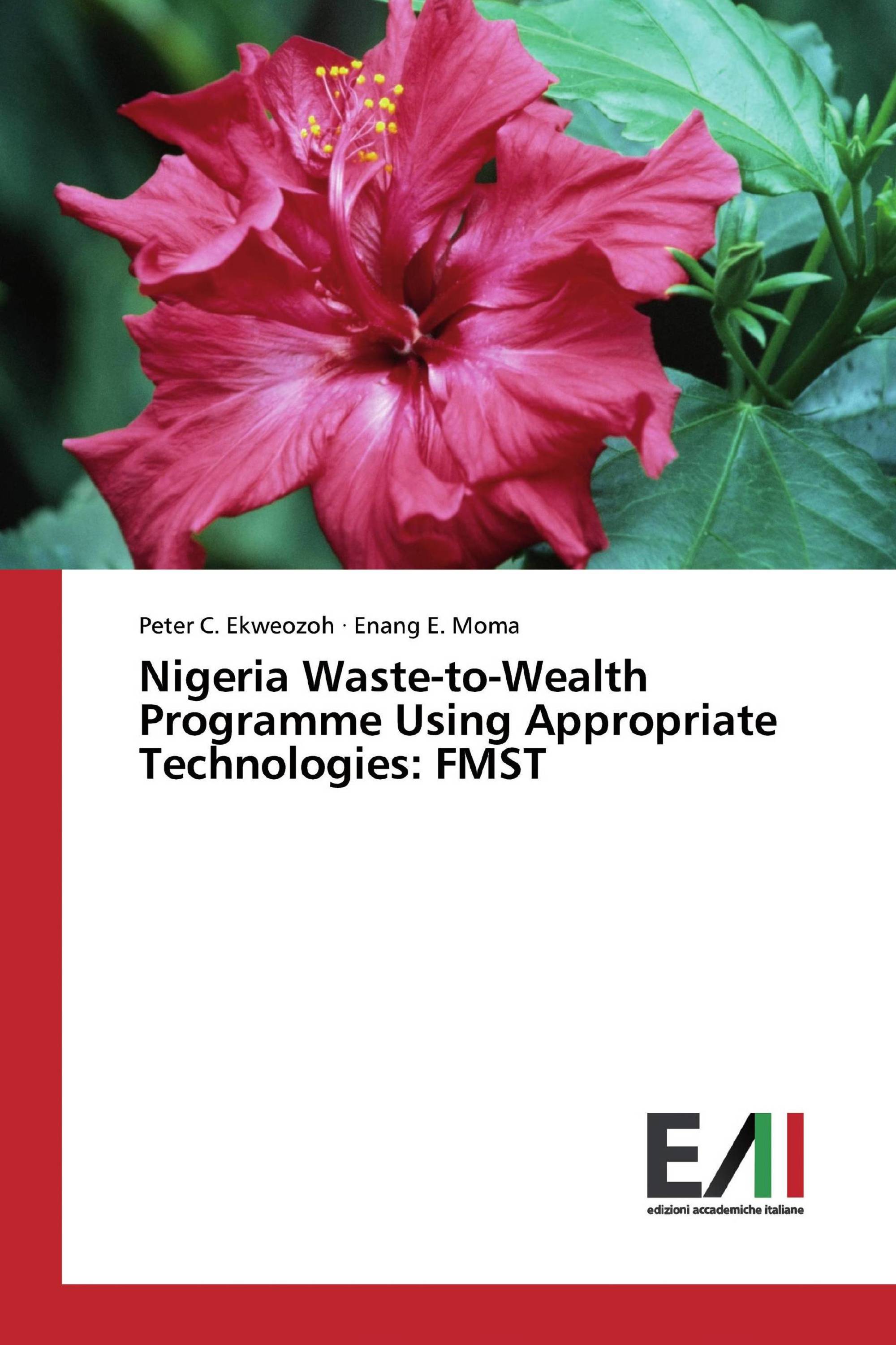 Nigeria Waste-to-Wealth Programme Using Appropriate Technologies: FMST