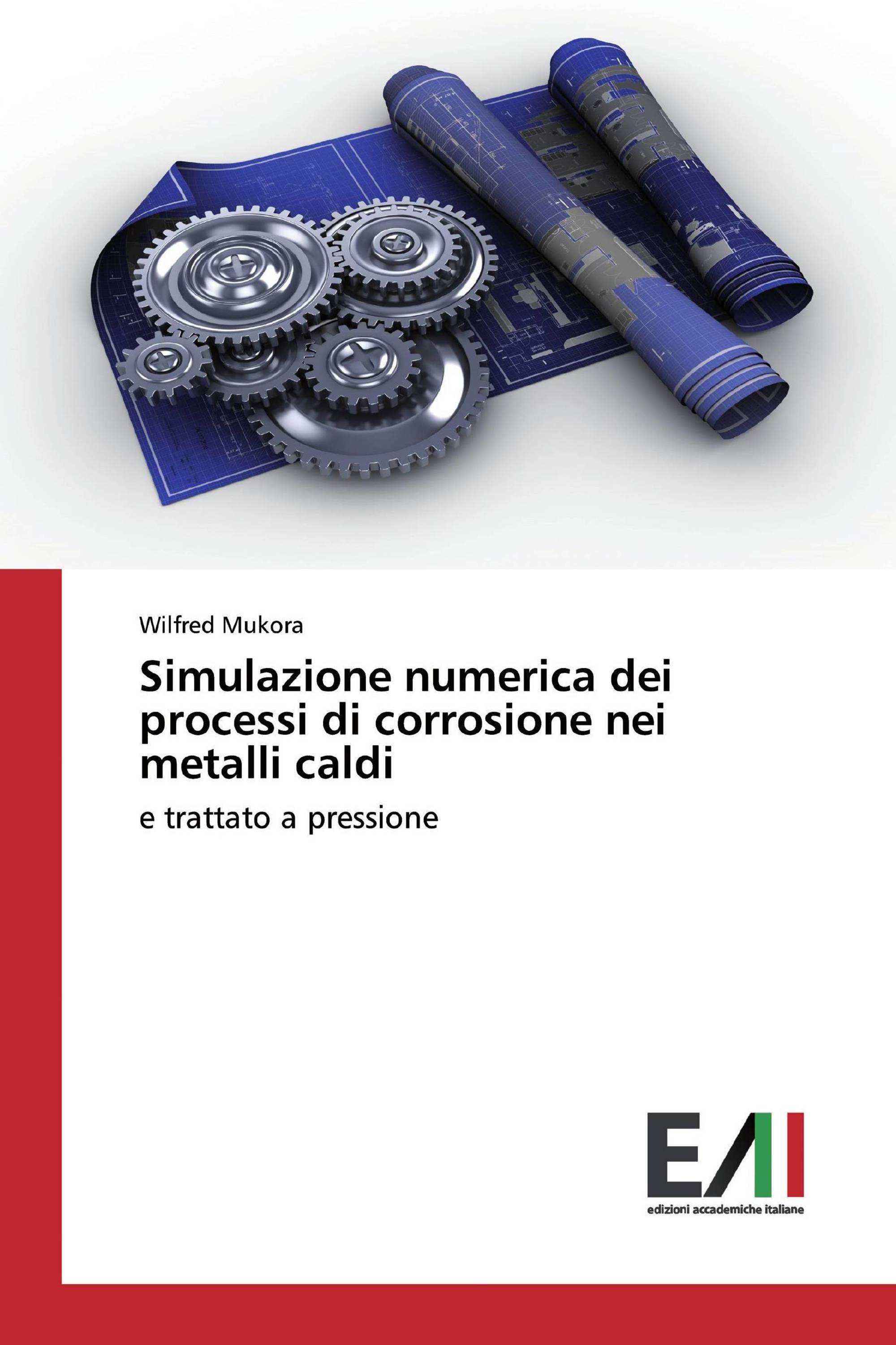 Simulazione numerica dei processi di corrosione nei metalli caldi